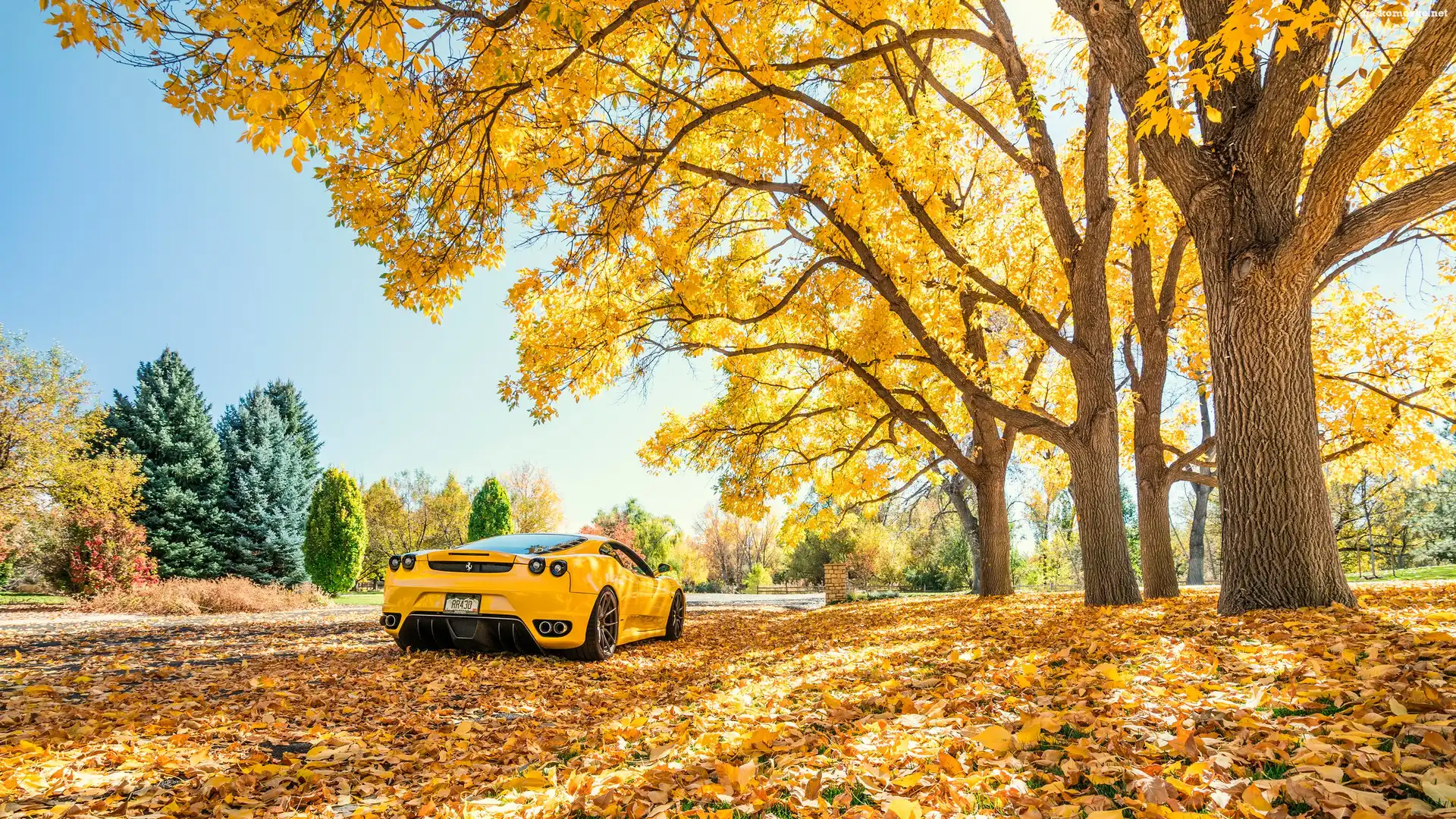 Żółty, Drzewa, Jesień, Ferrari F 430, Liście, Samochód