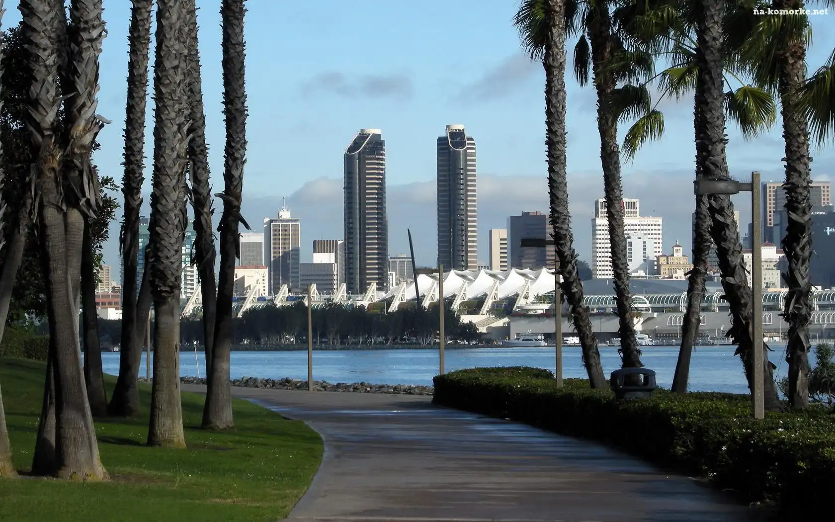 San Diego, Drzewa, Drapacze Chmur, Droga
