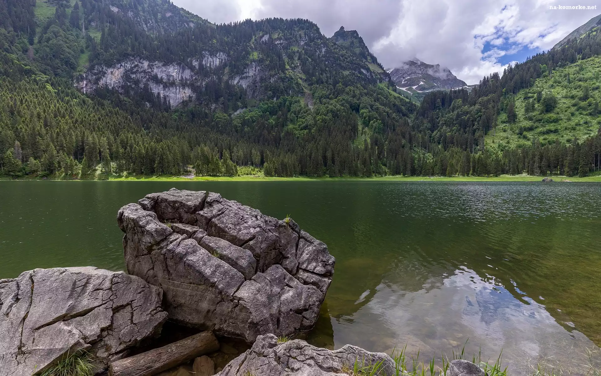 Jezioro, Głazy, Szwajcaria, Kamienie, Kanton Sankt Gallen, Lasy, Voralpsee, Góry, Alpy, Drzewa
