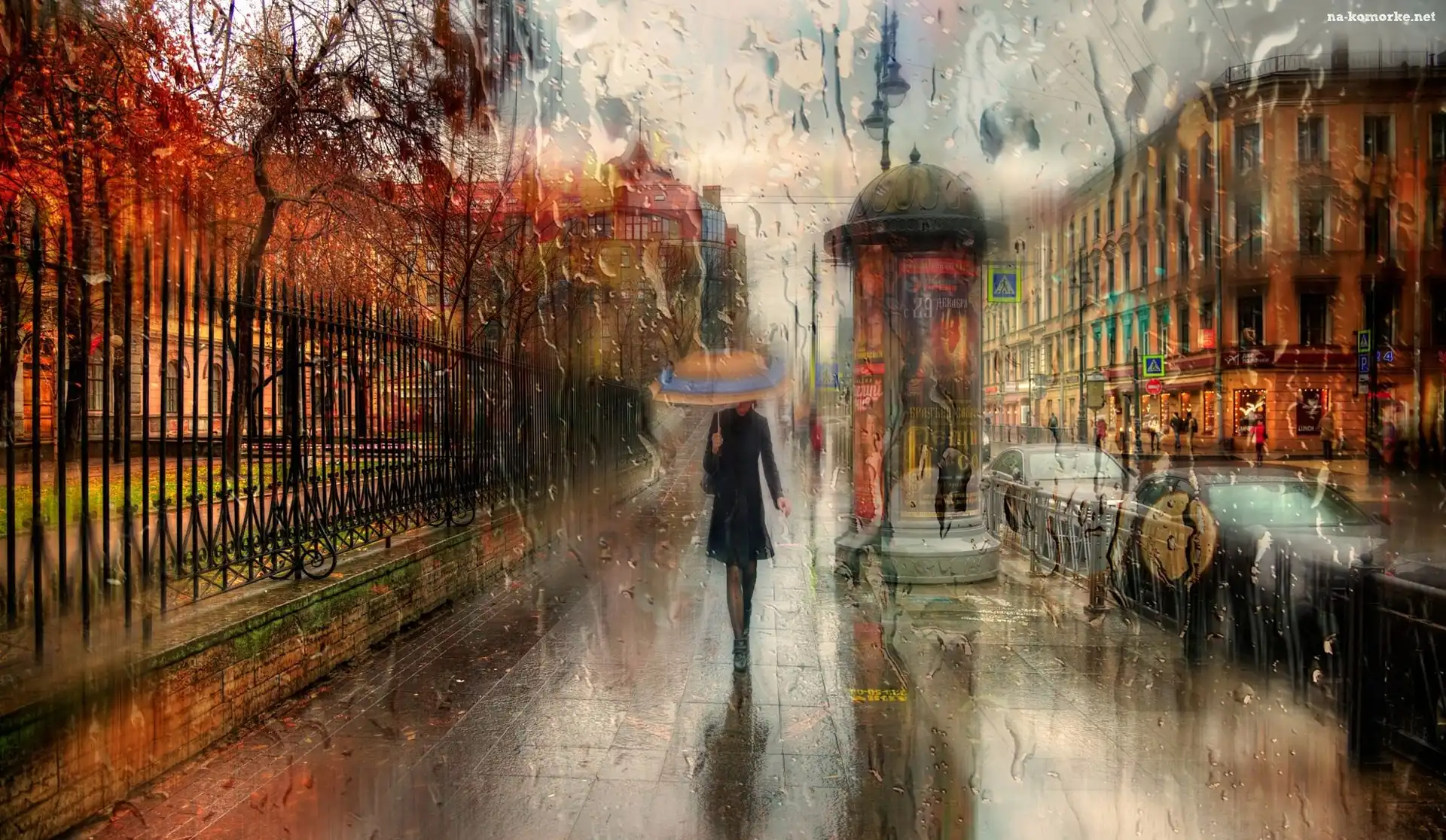 Kobieta, Sankt Petersburg, Rosja, Ulica, Deszcz, Parasol