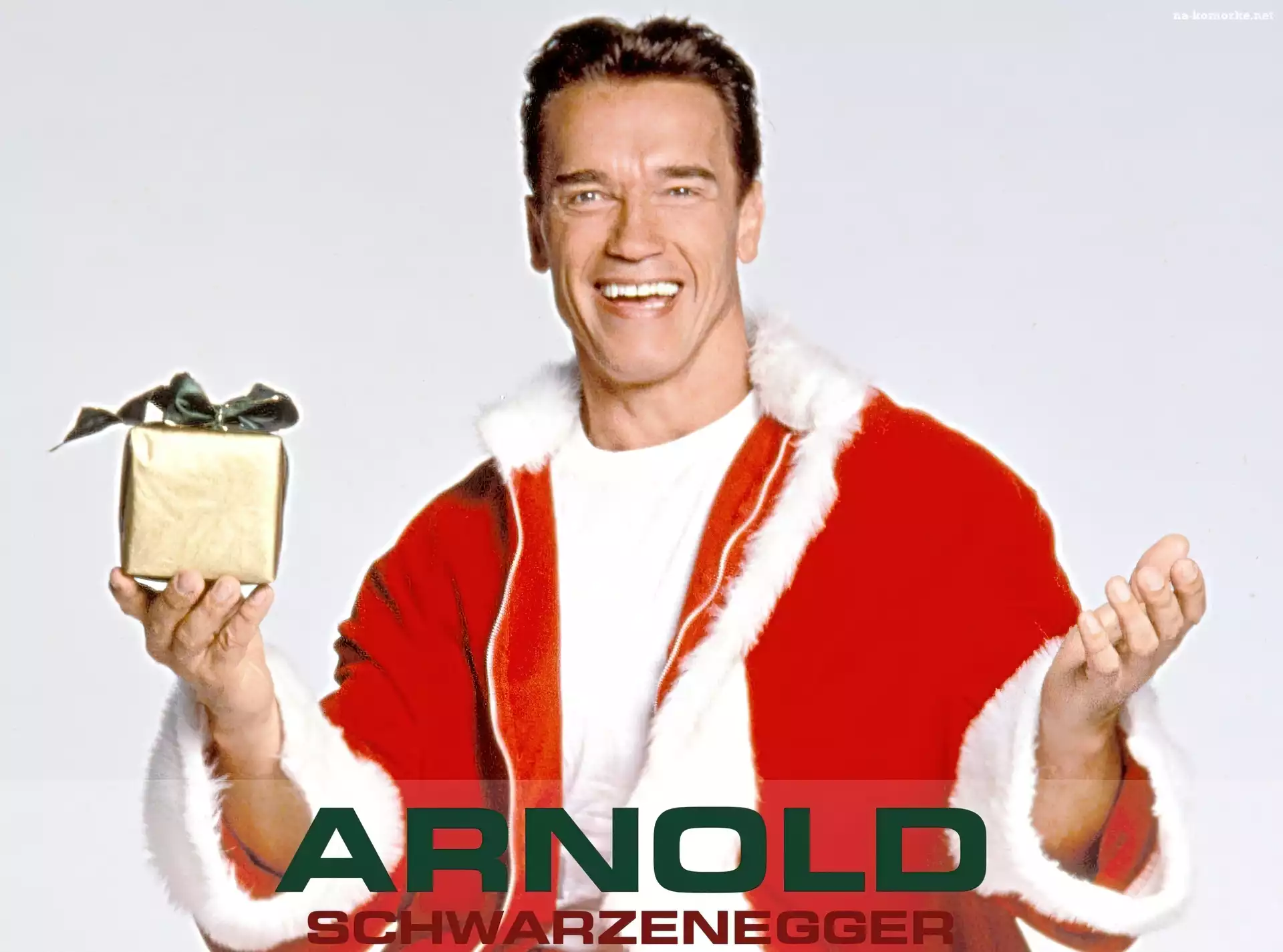 Arnold Schwarzenegger, Prezent