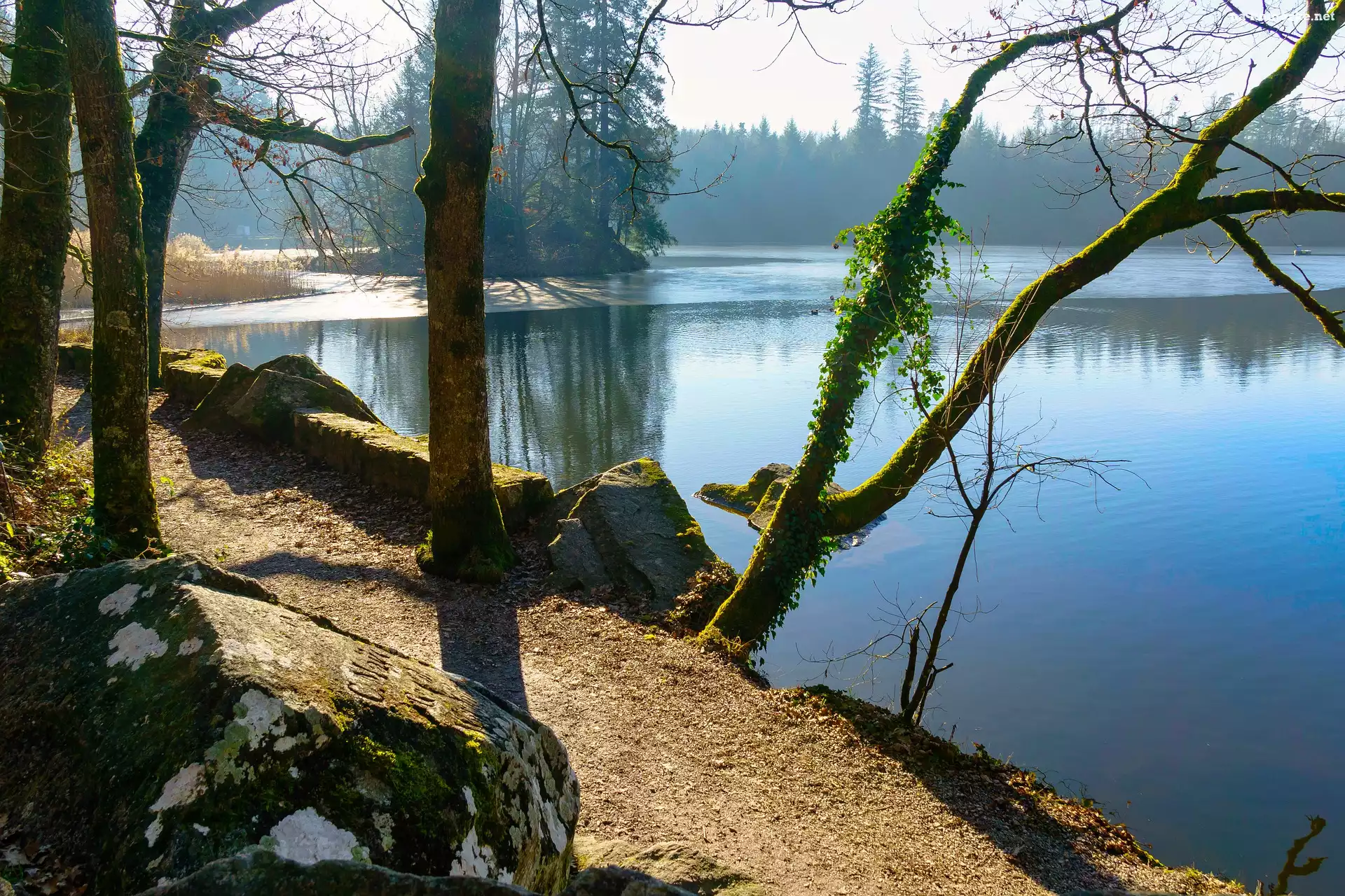 Jezioro, Głazy, Drzewa, Ścieżka