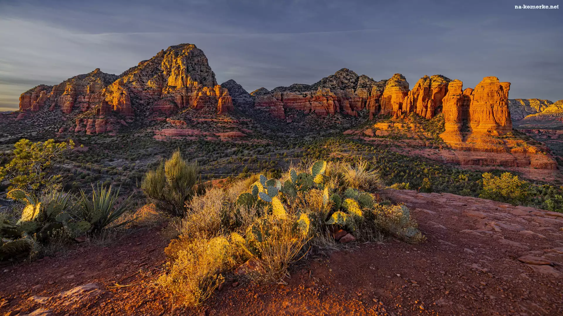Sedona, Rośliny, Skały, Stany Zjednoczone, Kaktusy, Wschód słońca, Góry, Arizona