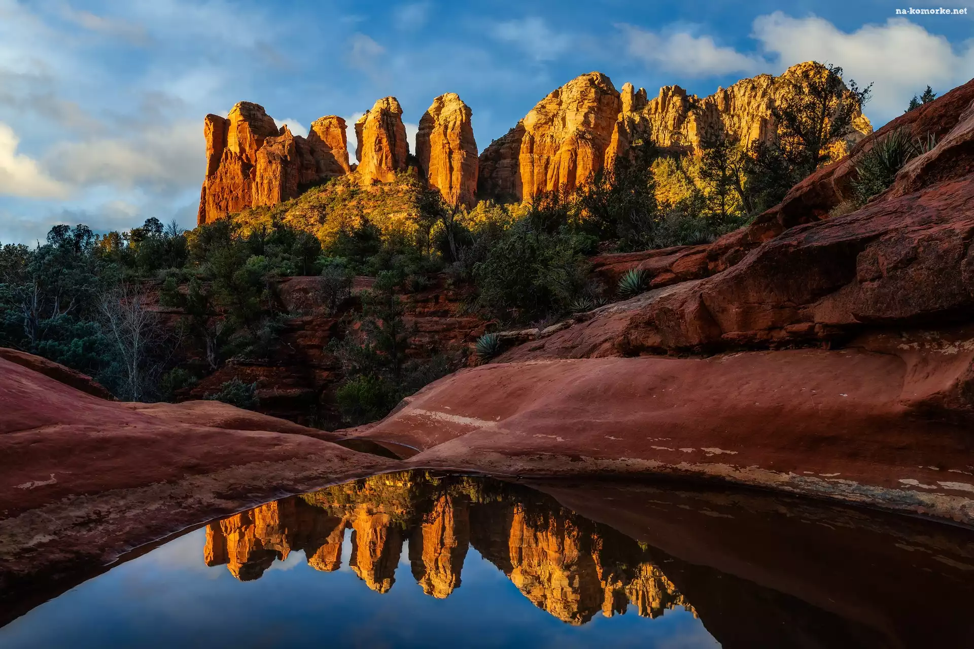 Seven Sacred Pools, Drzewa, Odbicie, Czerwone Skały, Sedona, Arizona, Stany Zjednoczone, Siedem Świętych Basenów, Woda