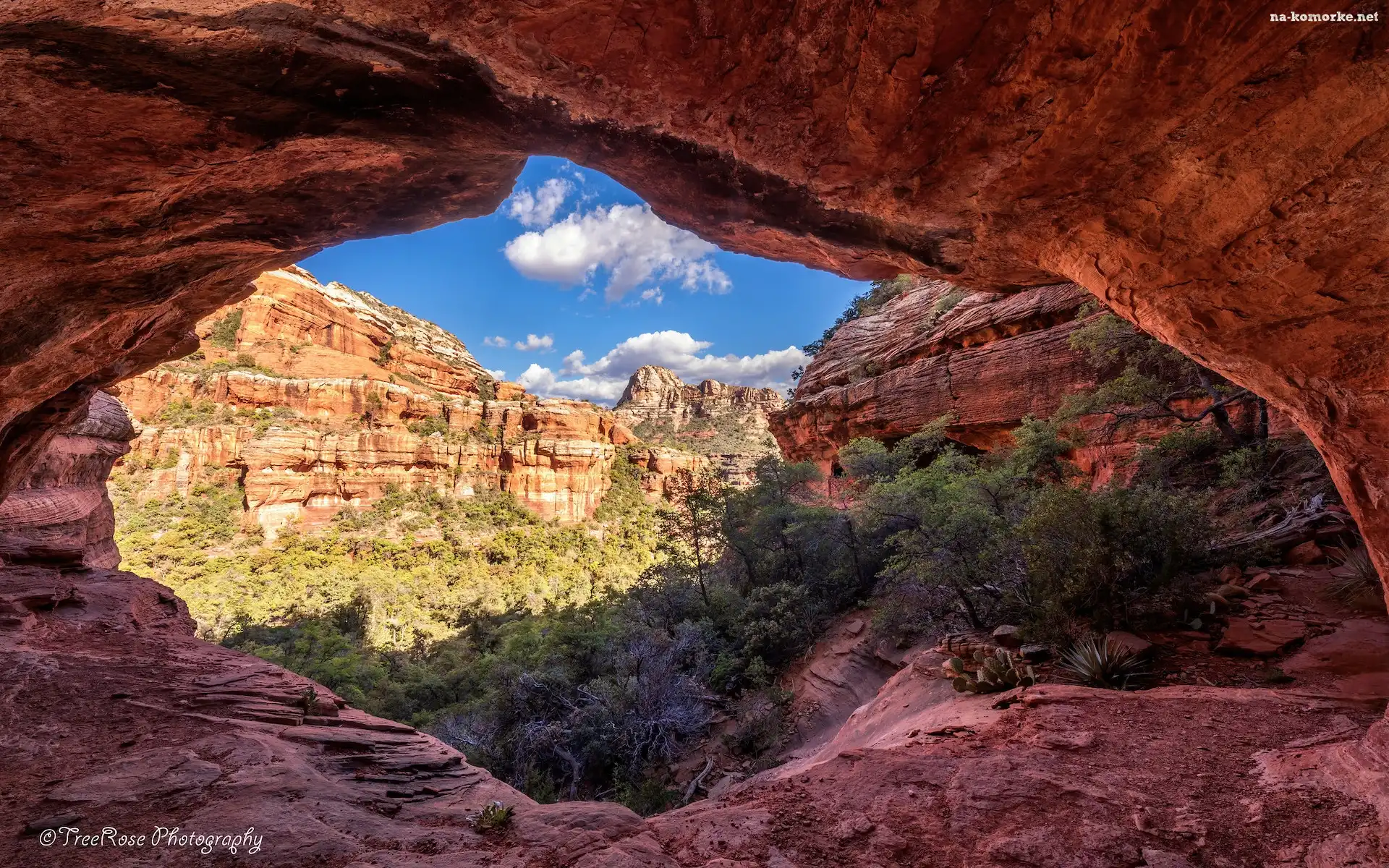 Czerwone, Arizona, Stany Zjednoczone, Skały, Krzewy, Cathedral Rocks, Sedona
