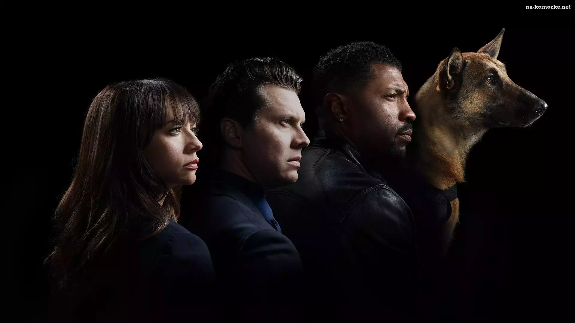 Serial, Pies, Owczarek belgijski Malinois, Angie Tribeca, Rashida Jones, Hayes MacArthur, Deon Cole