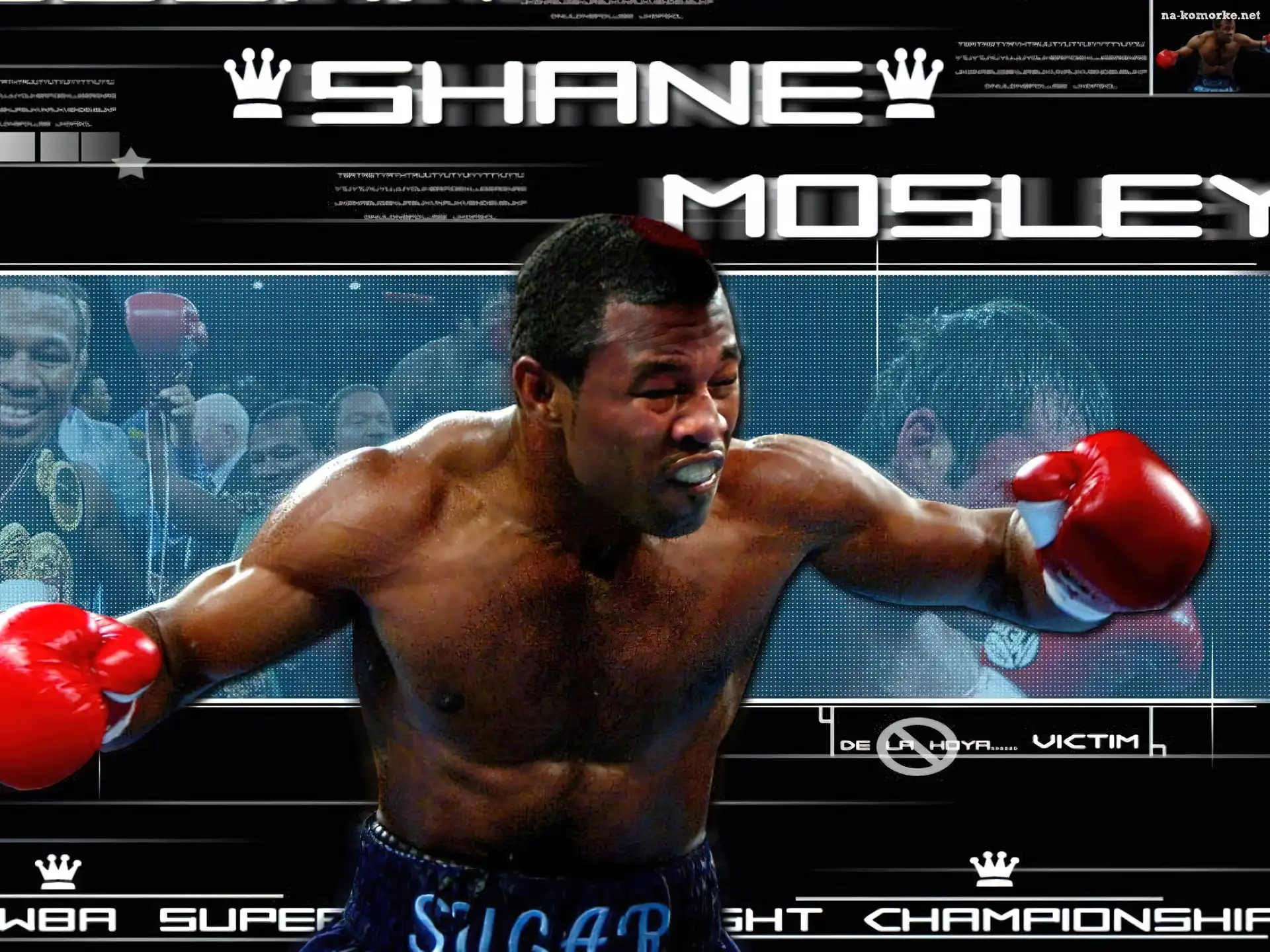 Boks, Shane Mosley
