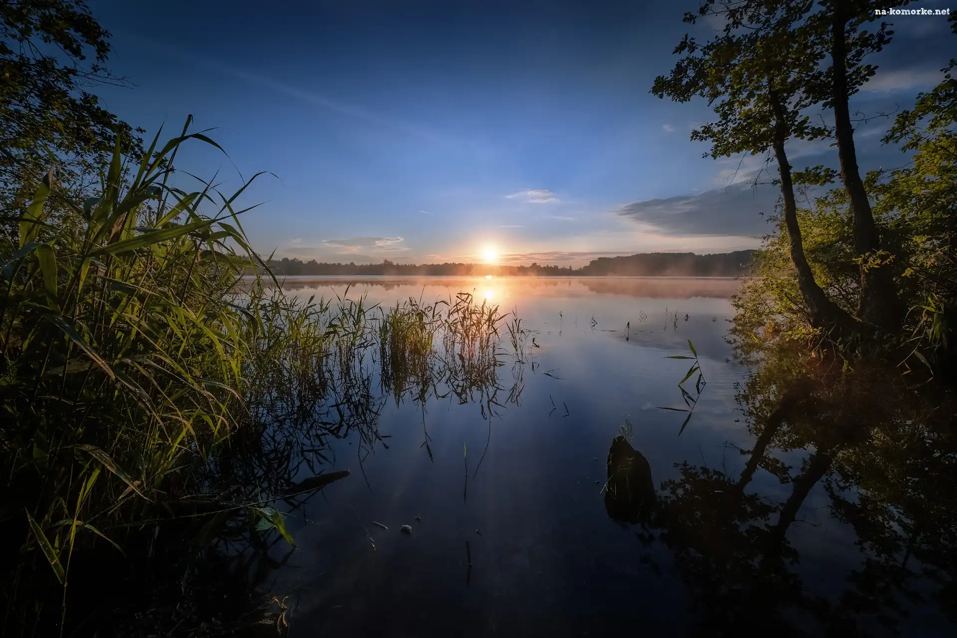 Lato, Obwód moskiewski, Rosja, Jezioro Szaturskie, Drzewa, Wschód słońca, Shatura
