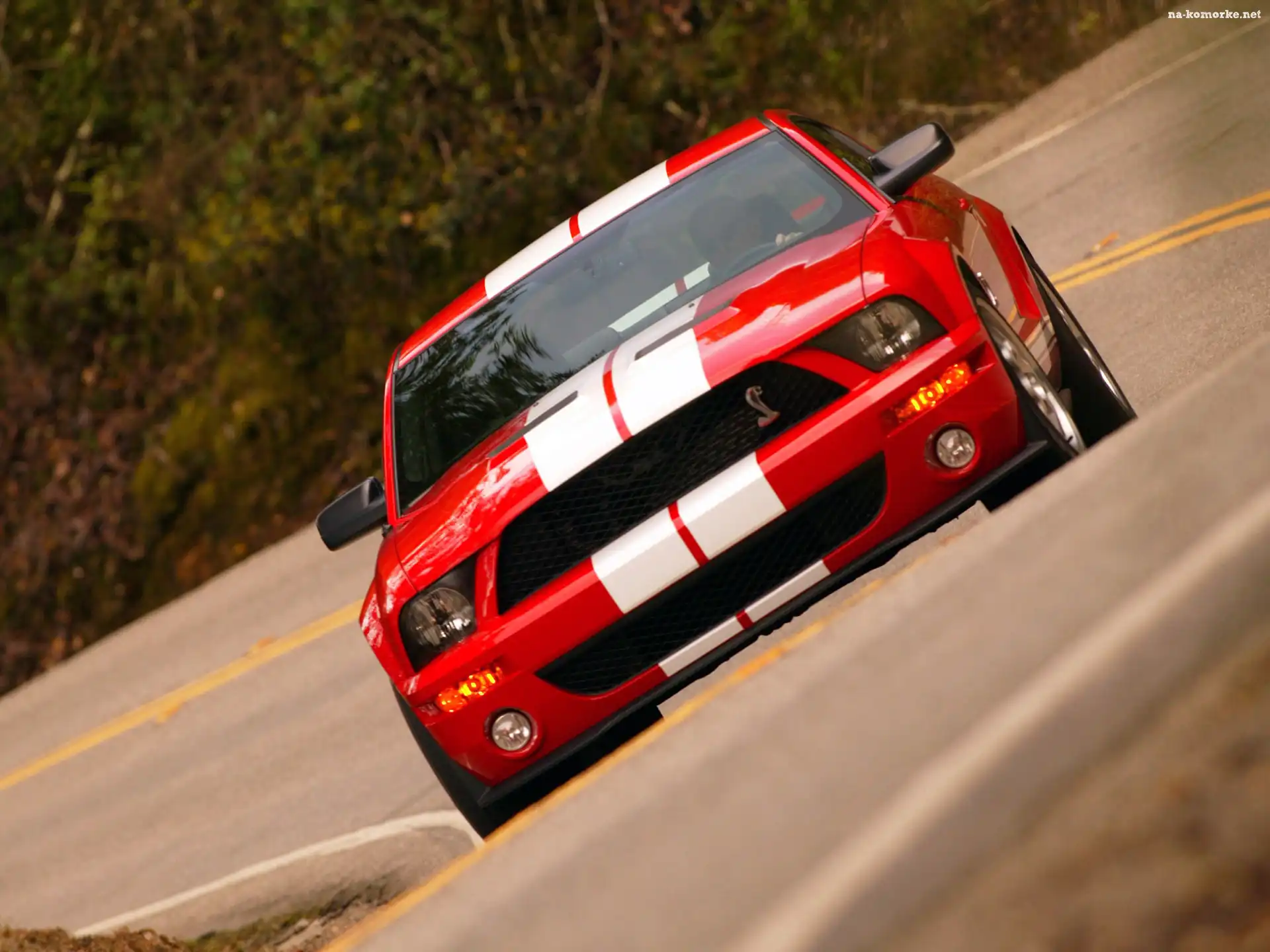 Shelby, Ford Mustang, Super
