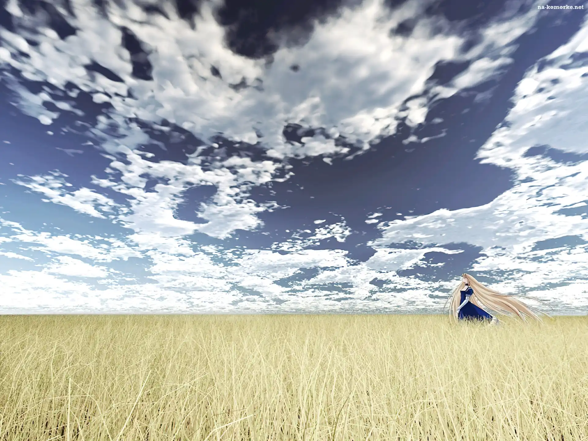 Shingetsutan Tsukihime, niebo, pole