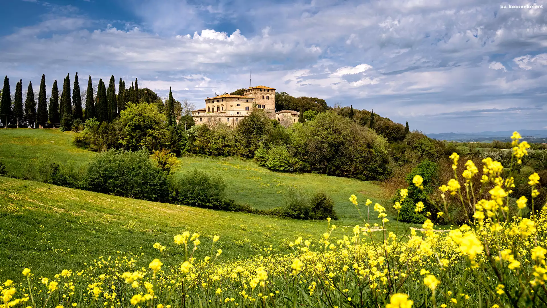 Kwiaty, Villa Montesoli, Wzgórza, Toskania, Prowincja Siena, Toskania, Włochy, Łąka, Drzewa