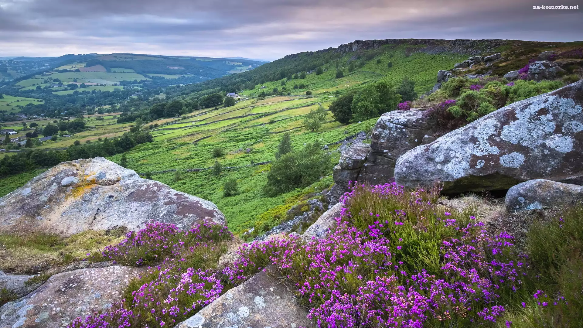 Anglia, Skały, Wrzosy, Wzgórza, Park Narodowy Peak District