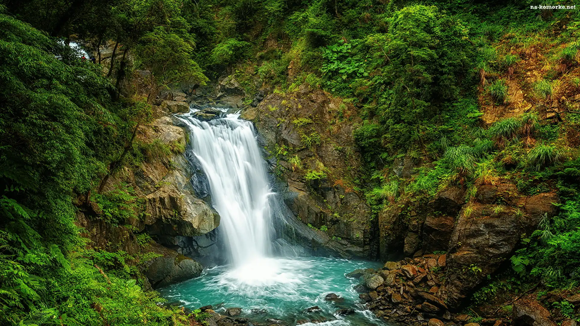 Skały, Wodospad Neidong Falls, Roślinność, Krzewy, Tajwan, Omszałe, Nowe Tajpej, Drzewa, Dzielnica Wulai