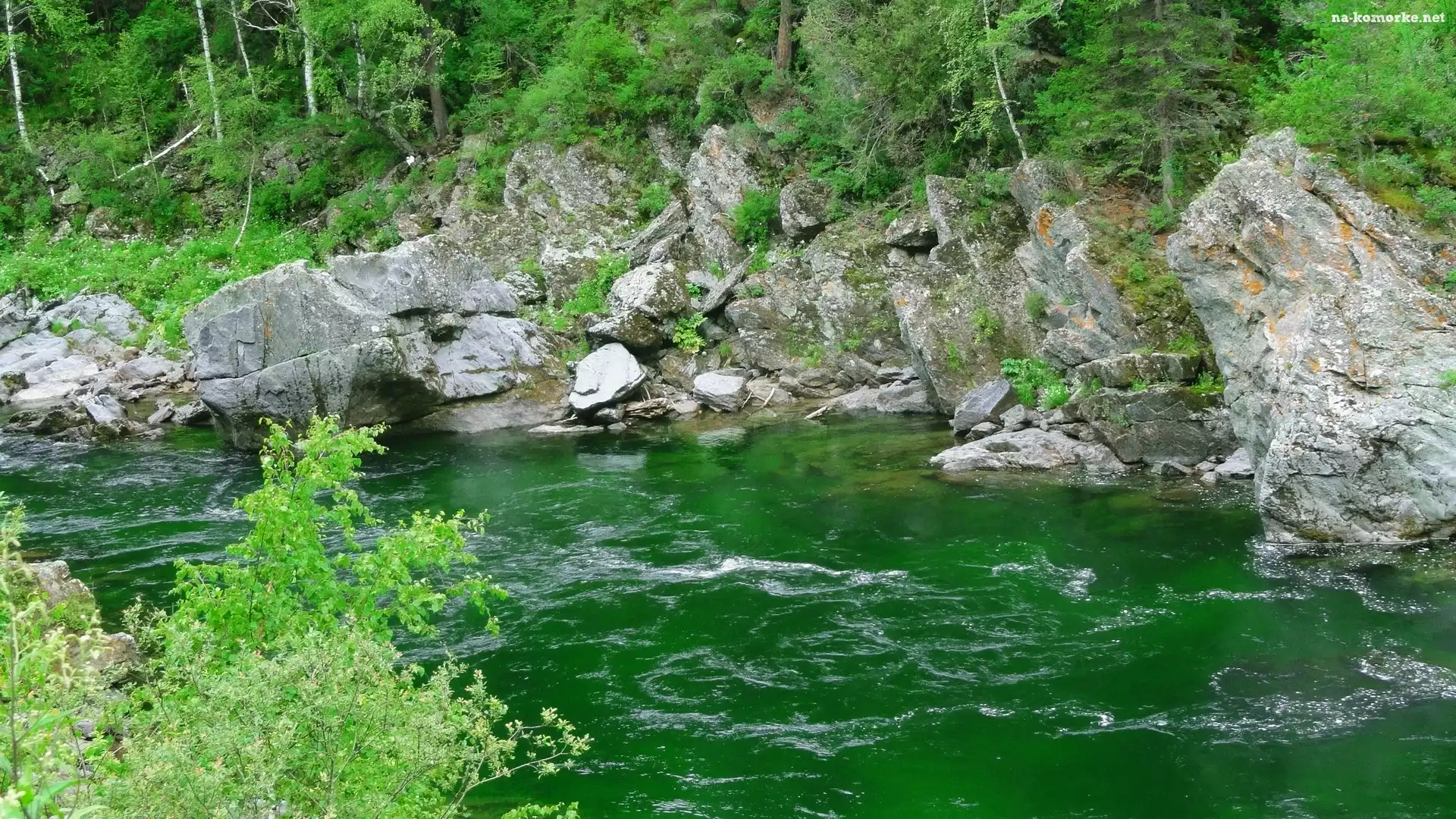 Rzeka, Skały, Las