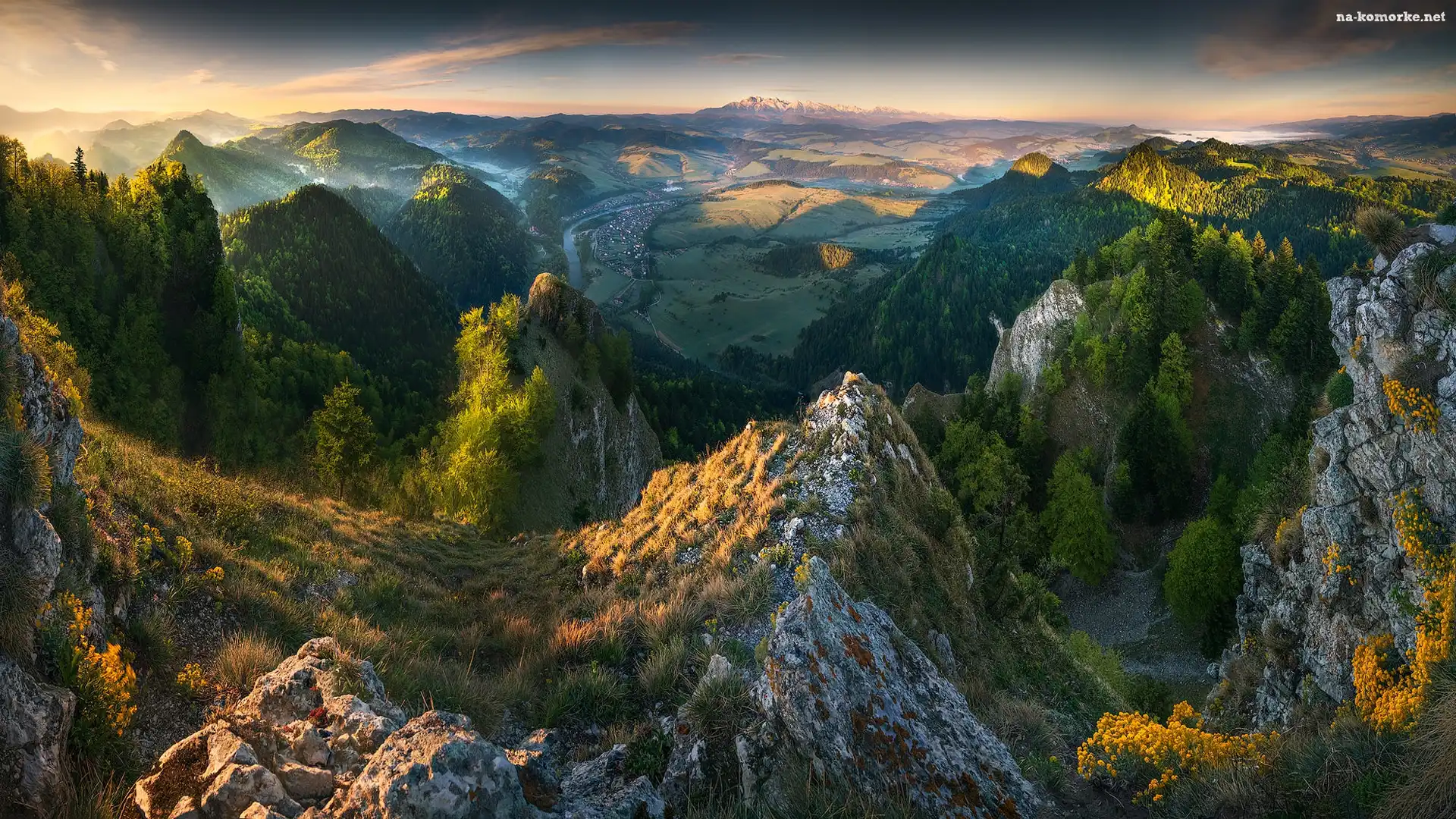 Trawa, Wschód słońca, Skały, Las, Góry, Mgła