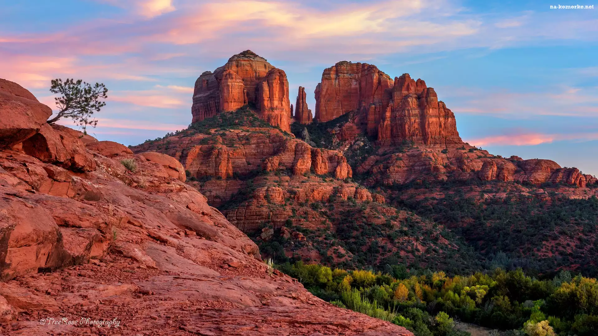 Czerwone, Stany Zjednoczone, Skały, Drzewa, Sedona, Arizona