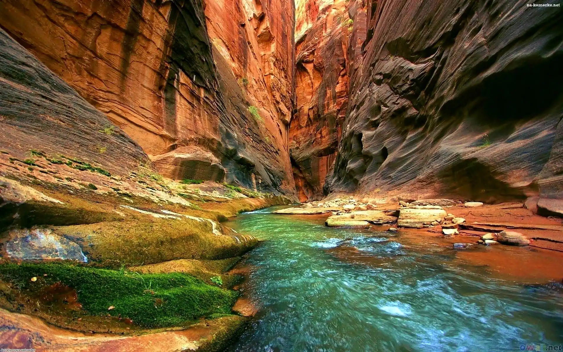 Kanion, Stan Utah, Stany Zjednoczone, Rzeka, Park Narodowy Zion, Skały