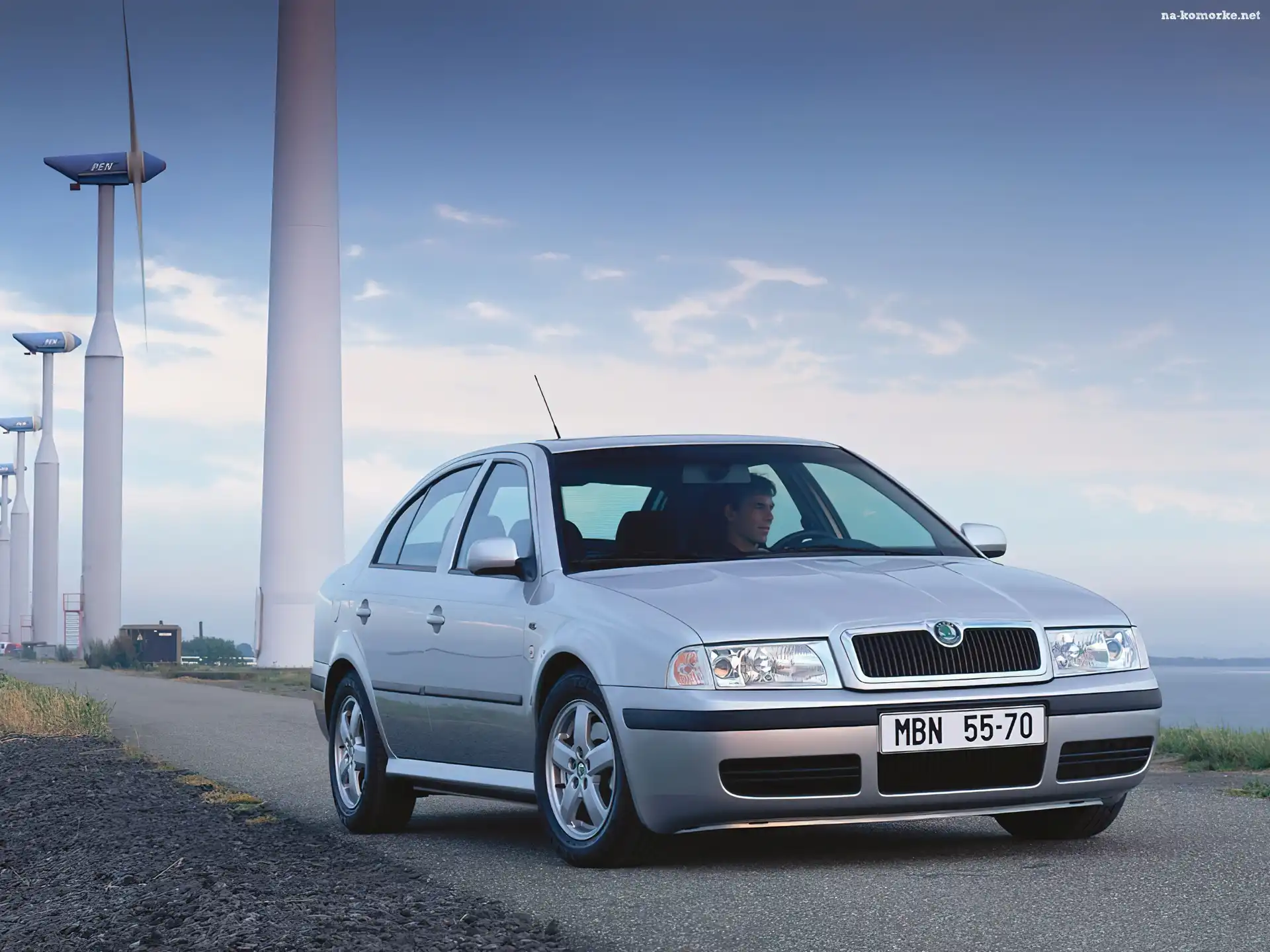 Srebrna, Skoda Octavia