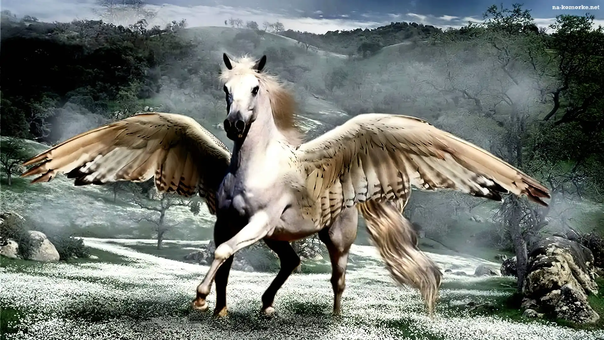 Pegaz, Skrzydła, Fantasy