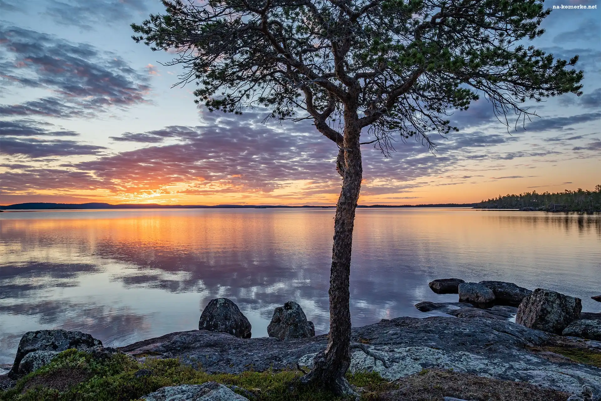 Zachód słońca, Lake Inari, Jezioro, Finlandia, Drzewo, Chmury