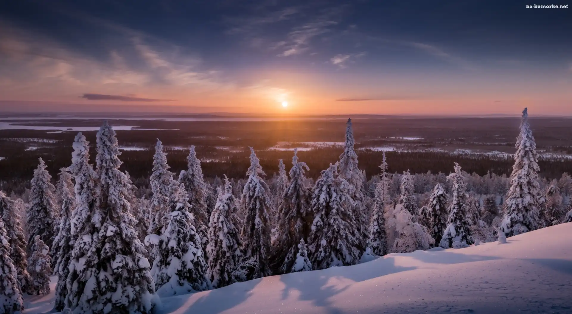 Finlandia, Świerki, Gmina Posio, Zachód słońca, Laponia, Park Narodowy Riisitunturi, Zima, Drzewa