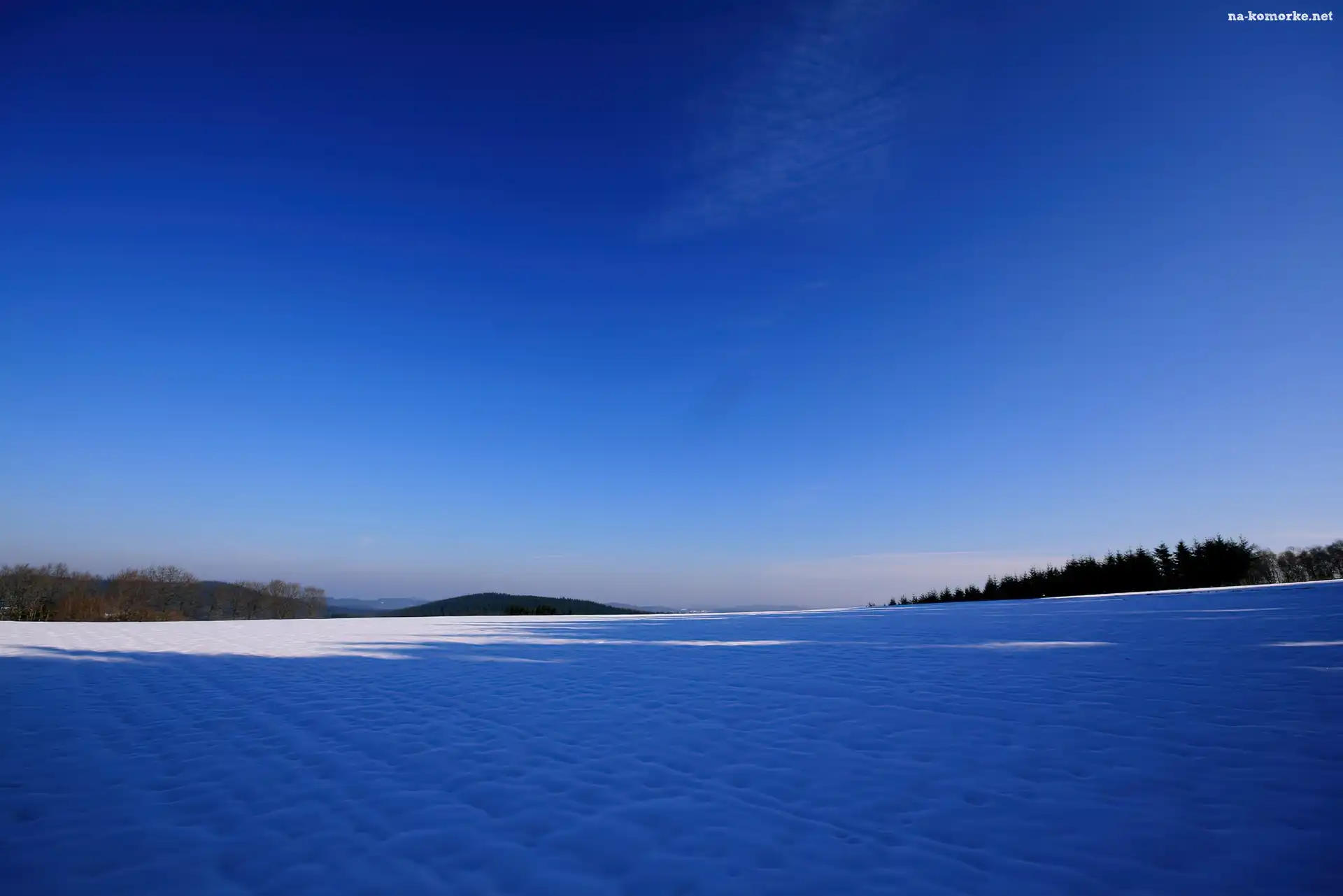 Słońca, Pole, Śnieg, Las, Zachód