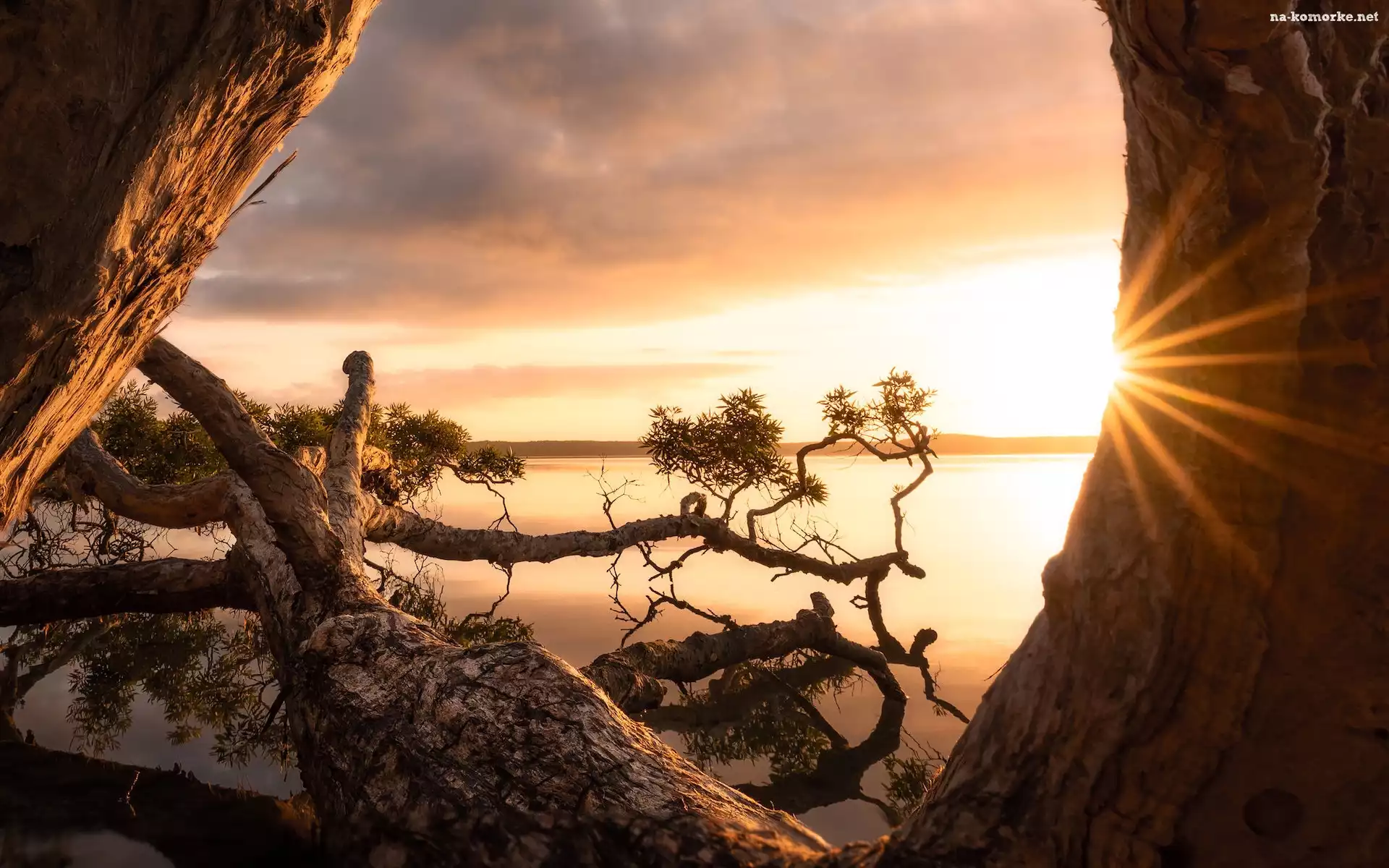 Australia, Drzewo, Jezioro, Konary, Queensland, Weyba Lake, Skała, Promienie słońca