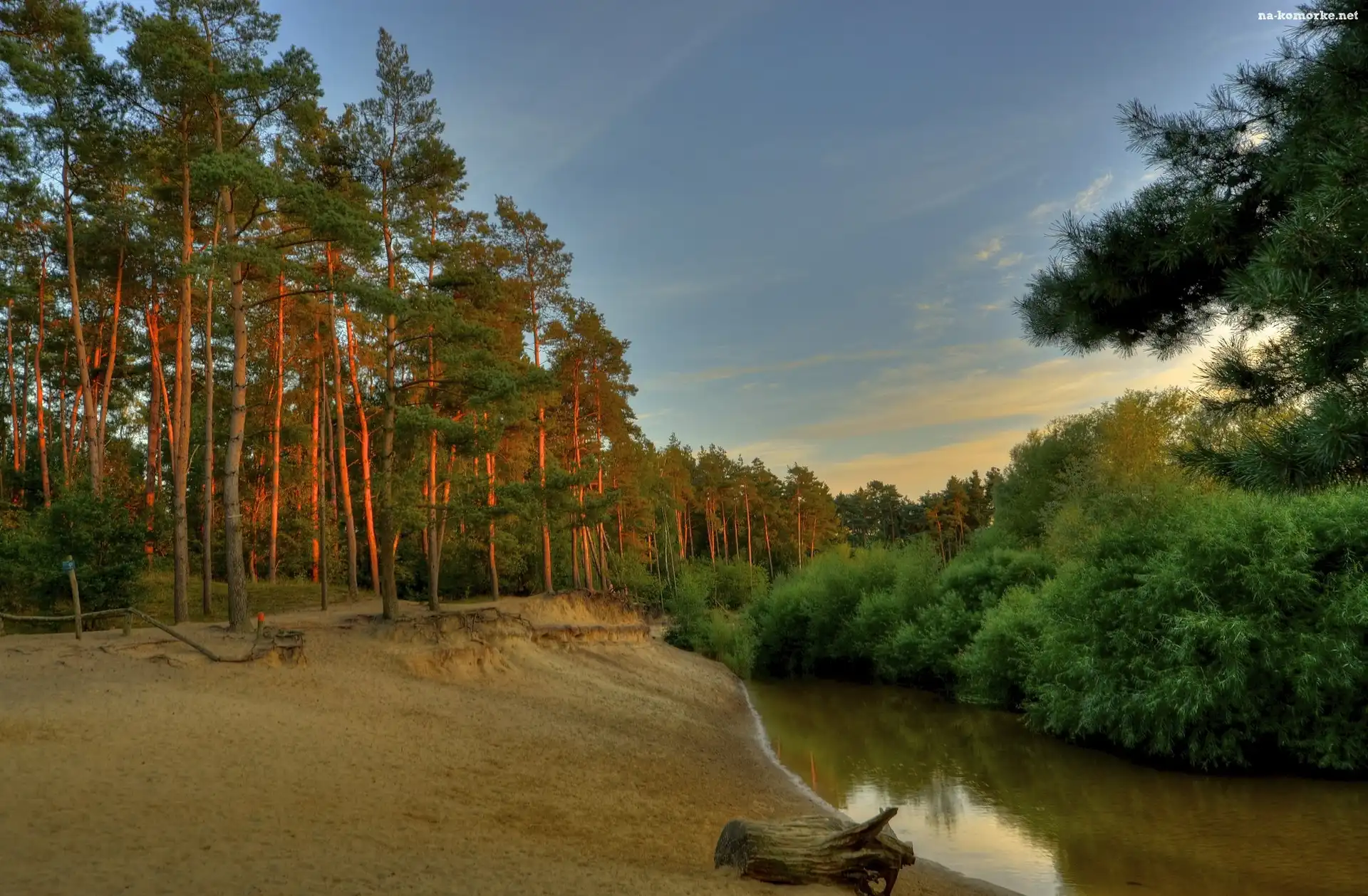 Słońca, Lato, Las, Rzeka, Zachód