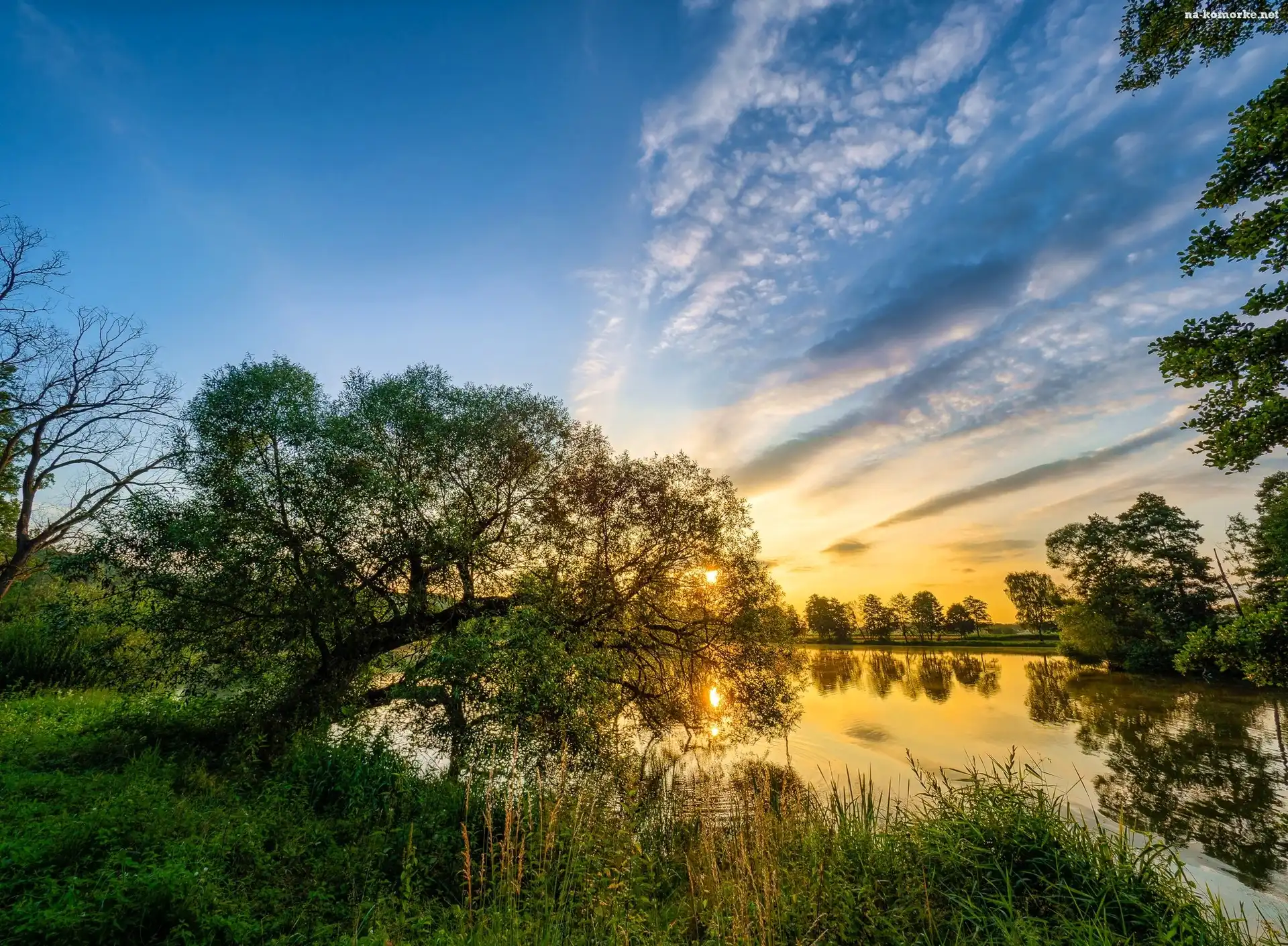 Słońca, Jezioro, Drzewa, Trawy, Wschód