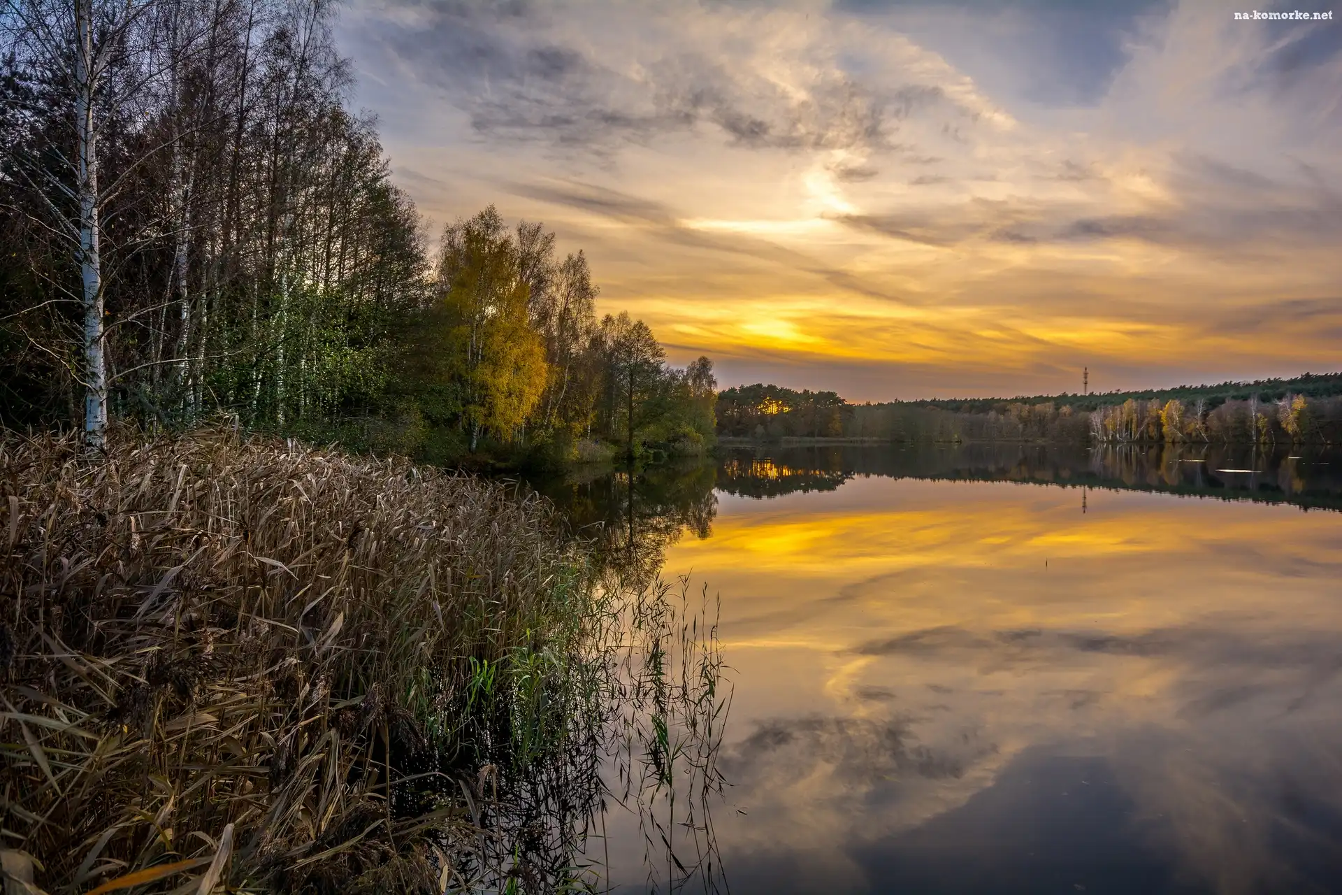 Wschód słońca, Drzewa, Jezioro, Odbicie, Roślinność, Chmury
