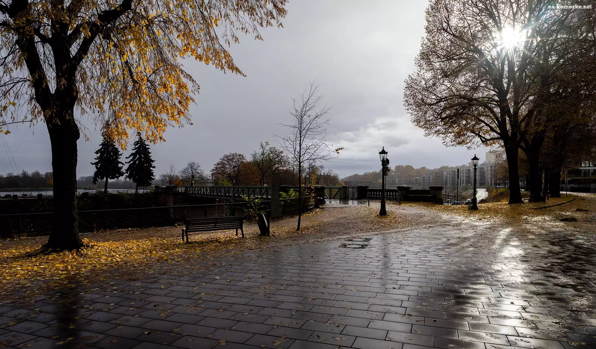 Wschód słońca, Latarnie, Park, Jesień, Mostek, Drzewa