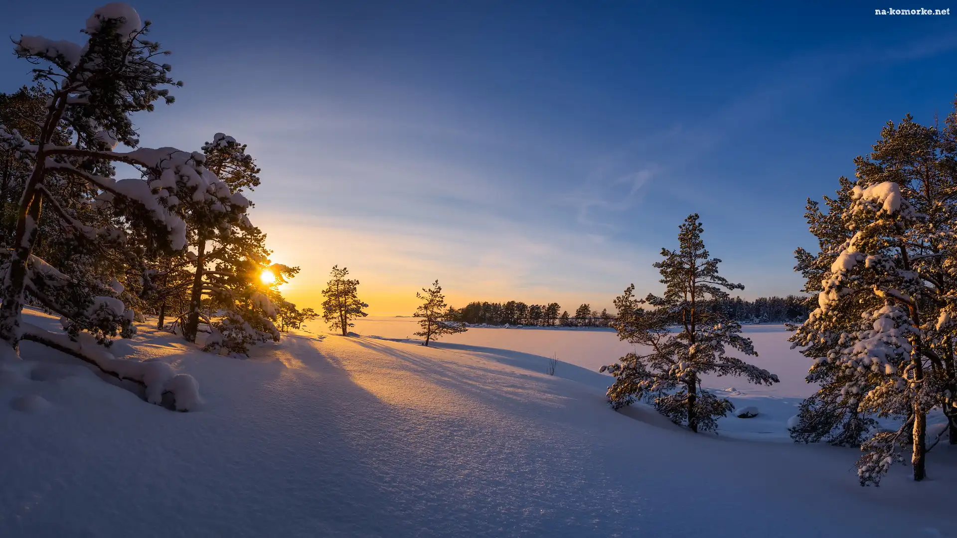 Zachód słońca, Ośnieżone, Zima, Finlandia, Drzewa, Kotka