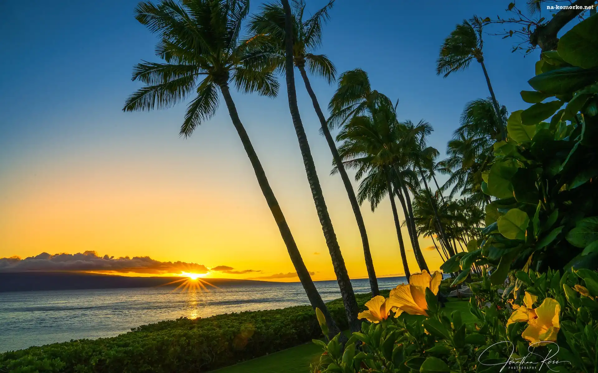Palmy, Plaża, Zachód słońca, Morze, Wyspa Maui, Hawaje, Stany Zjednoczone, Kaanapali Beach, Kwiaty