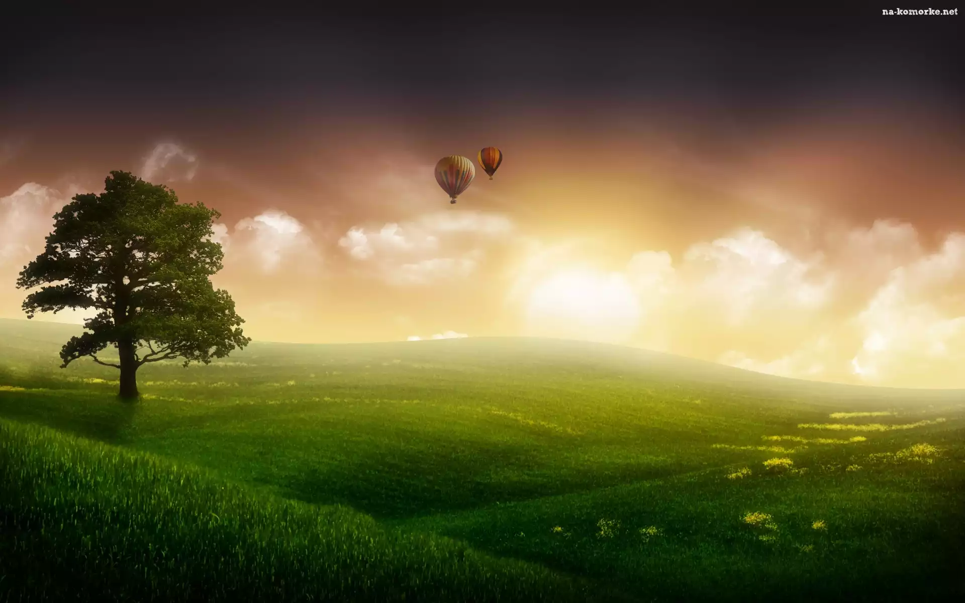 Łąka, Słońce, Balony