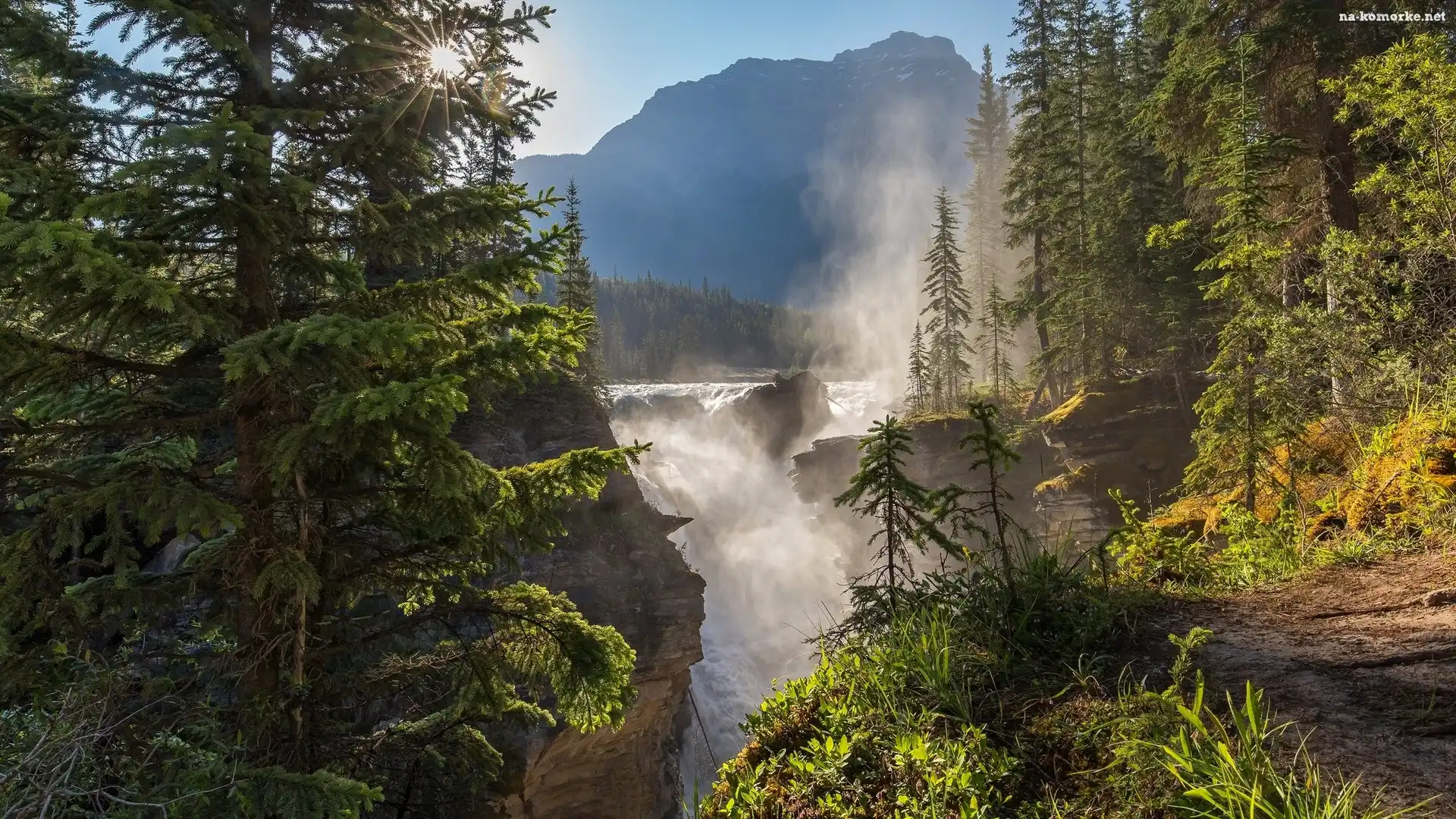 Kanada, Świerki, Wodospad Athabasca Falls, Słońce, Park Narodowy Jasper, Góry, Rzeka, Mgła