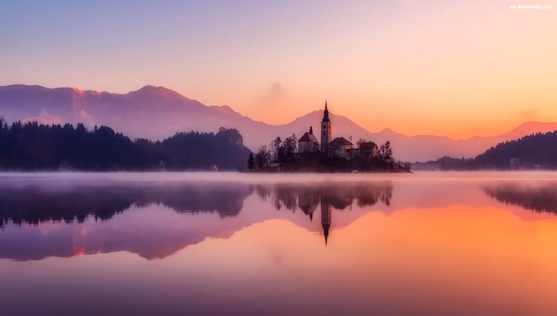 Drzewa, Słowenia, Jezioro Bled, Wyspa Blejski Otok, Mgła