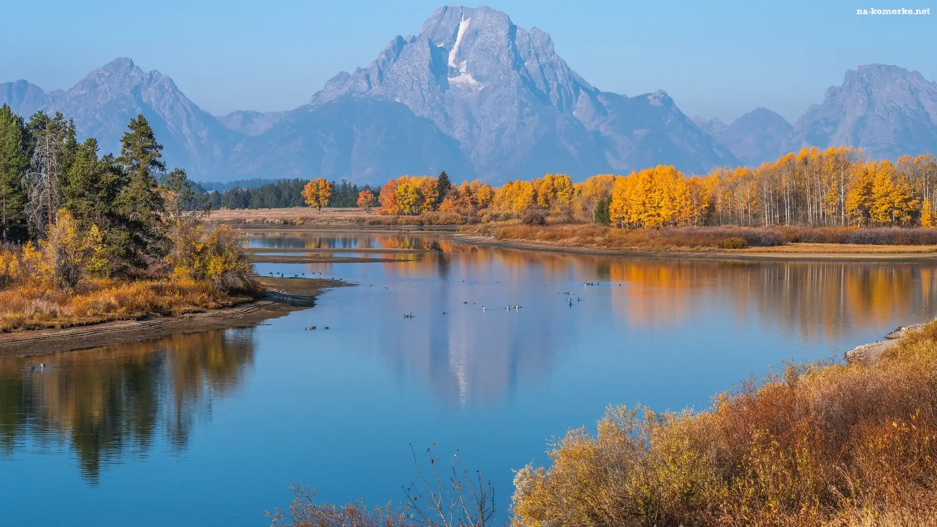 Snake River, Park Narodowy Grand Teton, Drzewa, Góry, Stany Zjednoczone, Rzeka, Stan Wyoming, Teton Range, Jesień