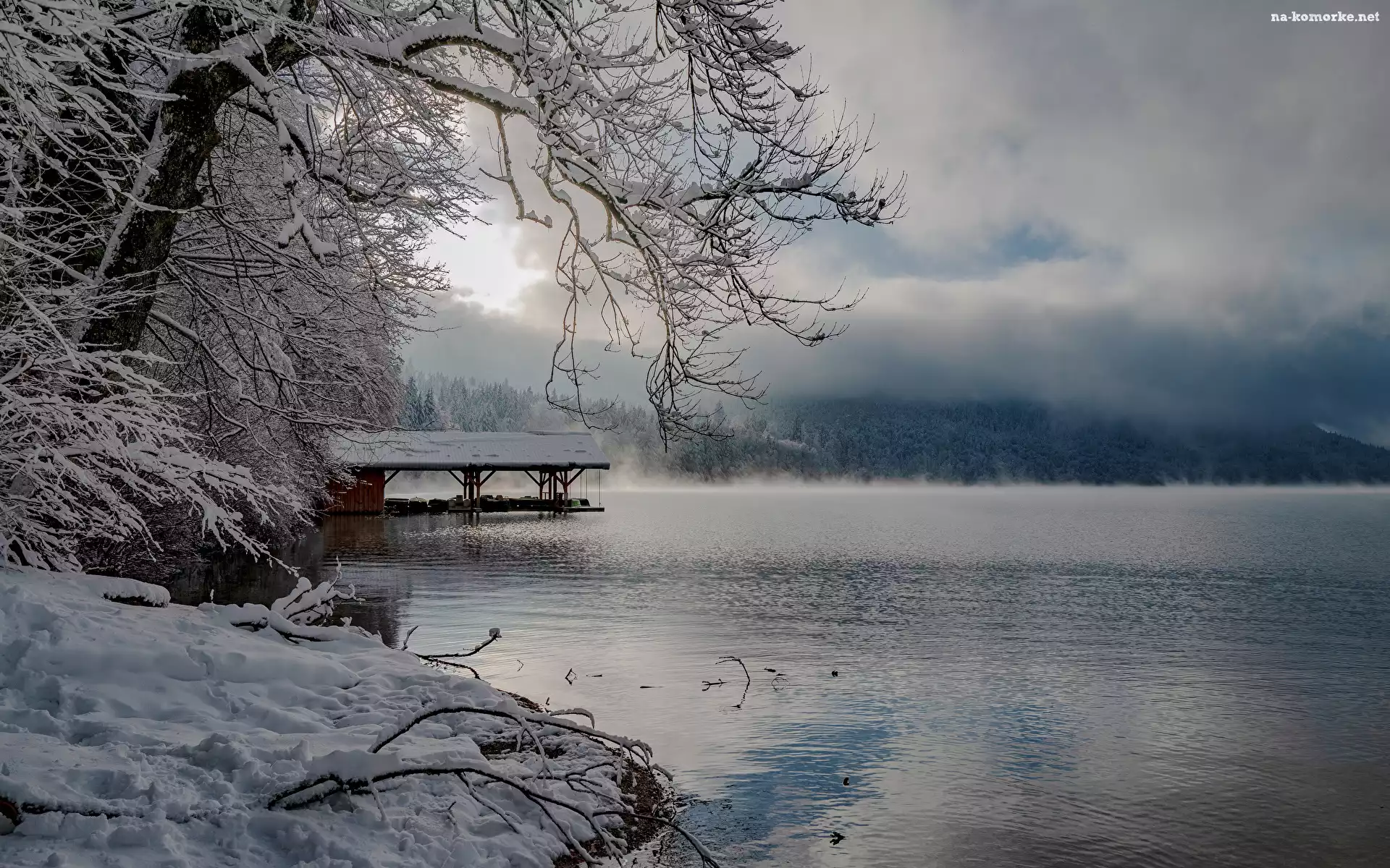 Śnieg, Drzewa, Chmury, Jezioro Alpsee, Zima, Bawaria, Niemcy, Gałązki, Mgła