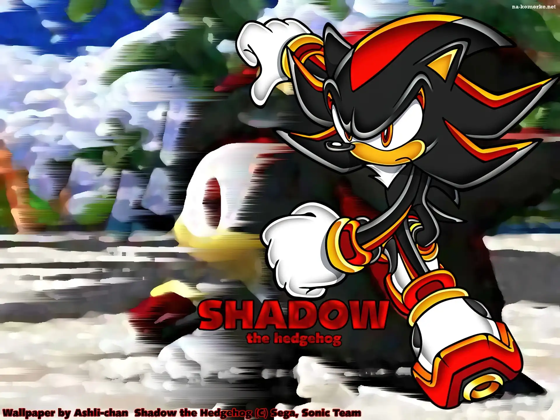 Sonic Heroes, rysunek, lis