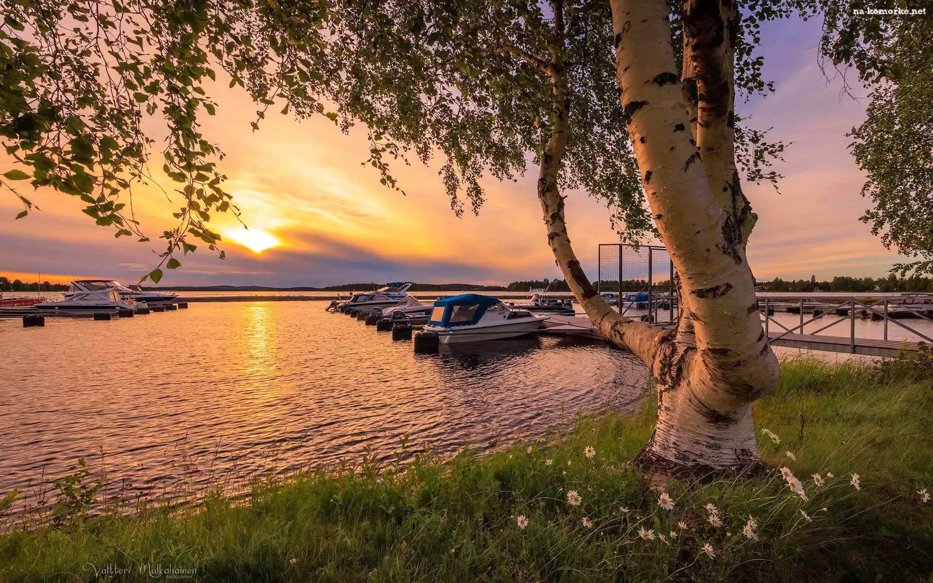 Sotkamo, Motorówki, Finlandia, Brzoza, Drzewa, Zachód słońca, Jezioro, Przystań, Vuokatti