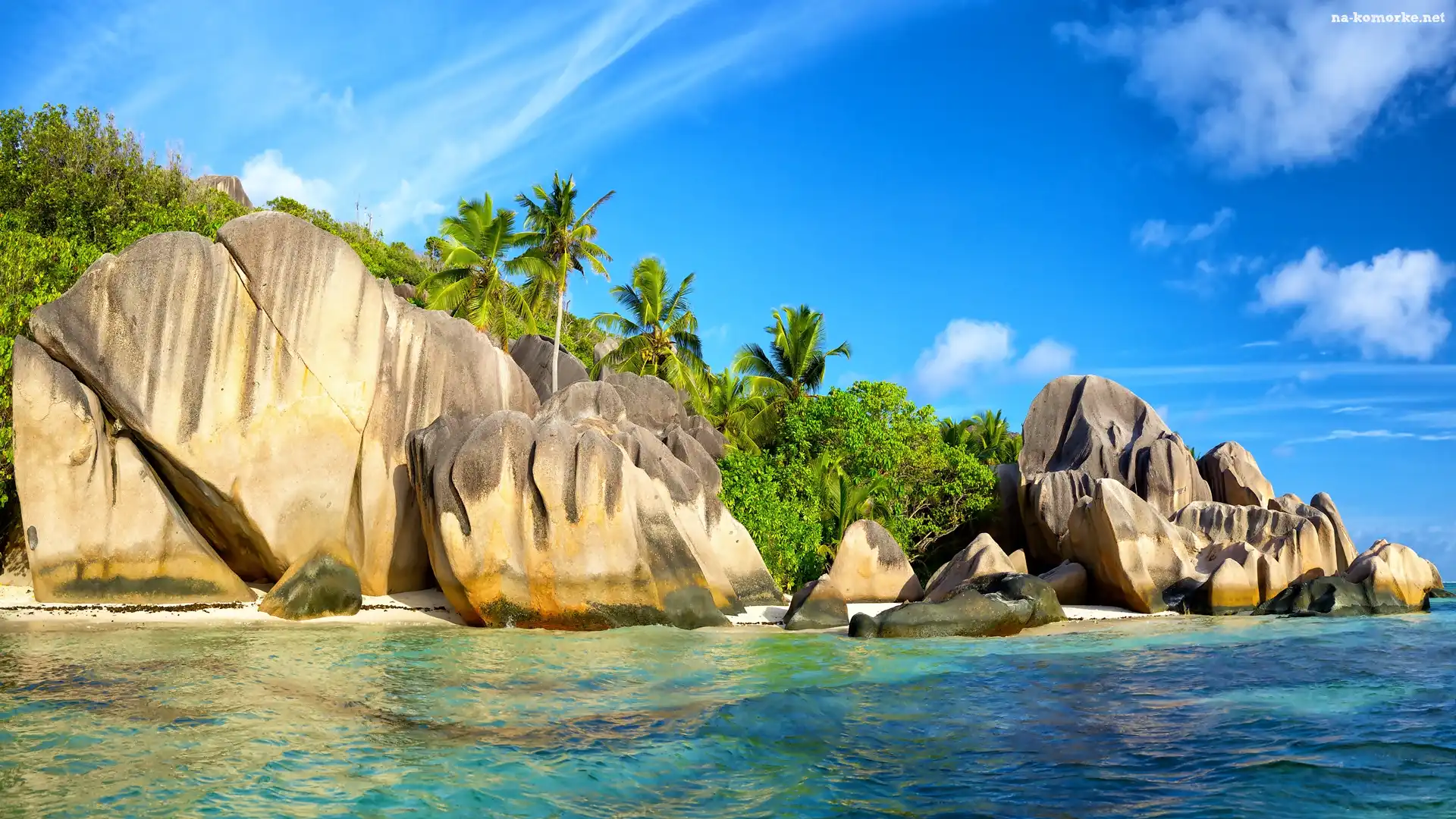 Seszele, Palmy, Plaża Anse Source d Argent, Roślinność, Wyspa La Digue, Morze, Skały, Głazy