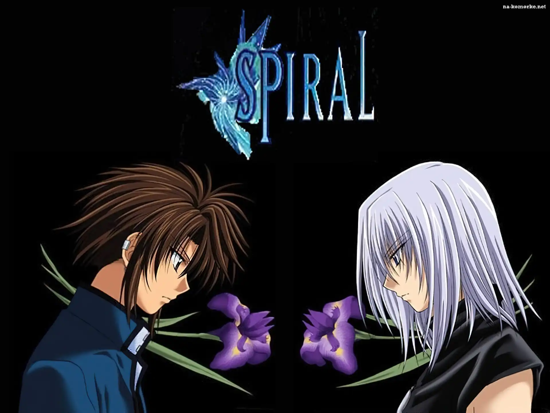 Spiral, kwiaty