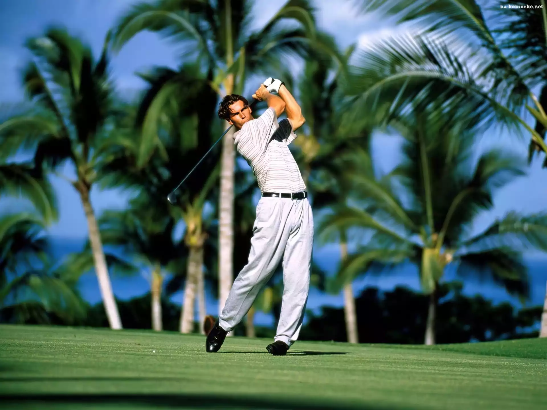 Sportowe Golf, kij golfowy