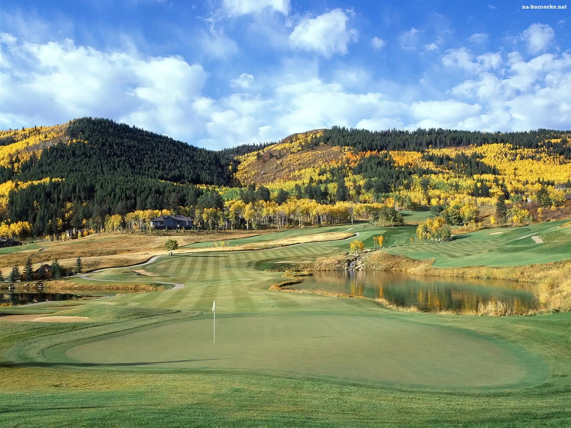 Sportowe Golf, pole golfowe