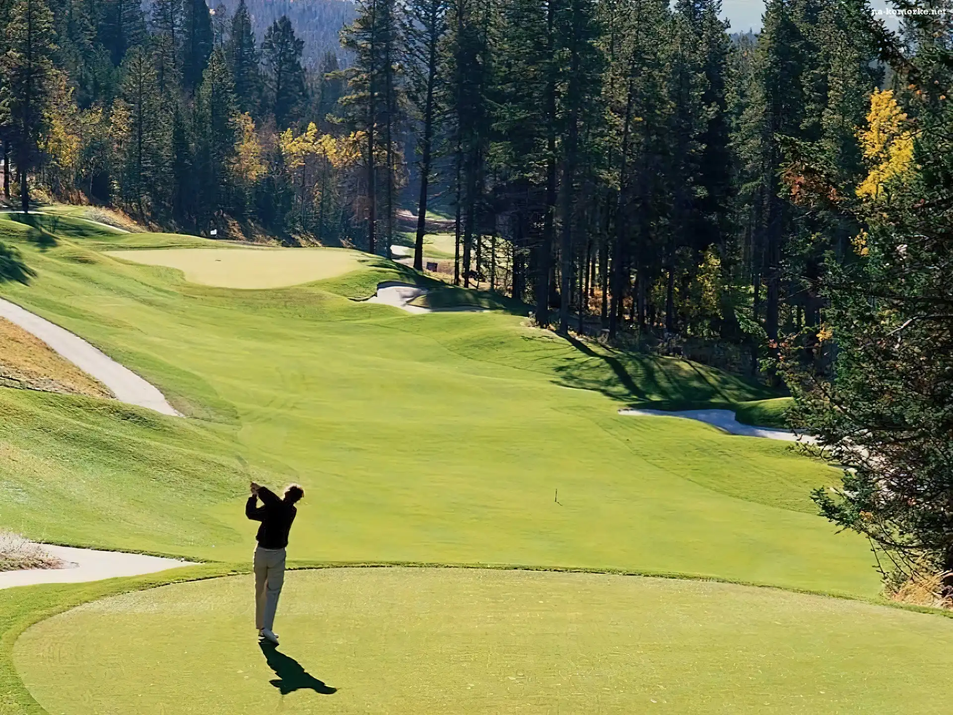 Sportowe Golf, pole golfowe