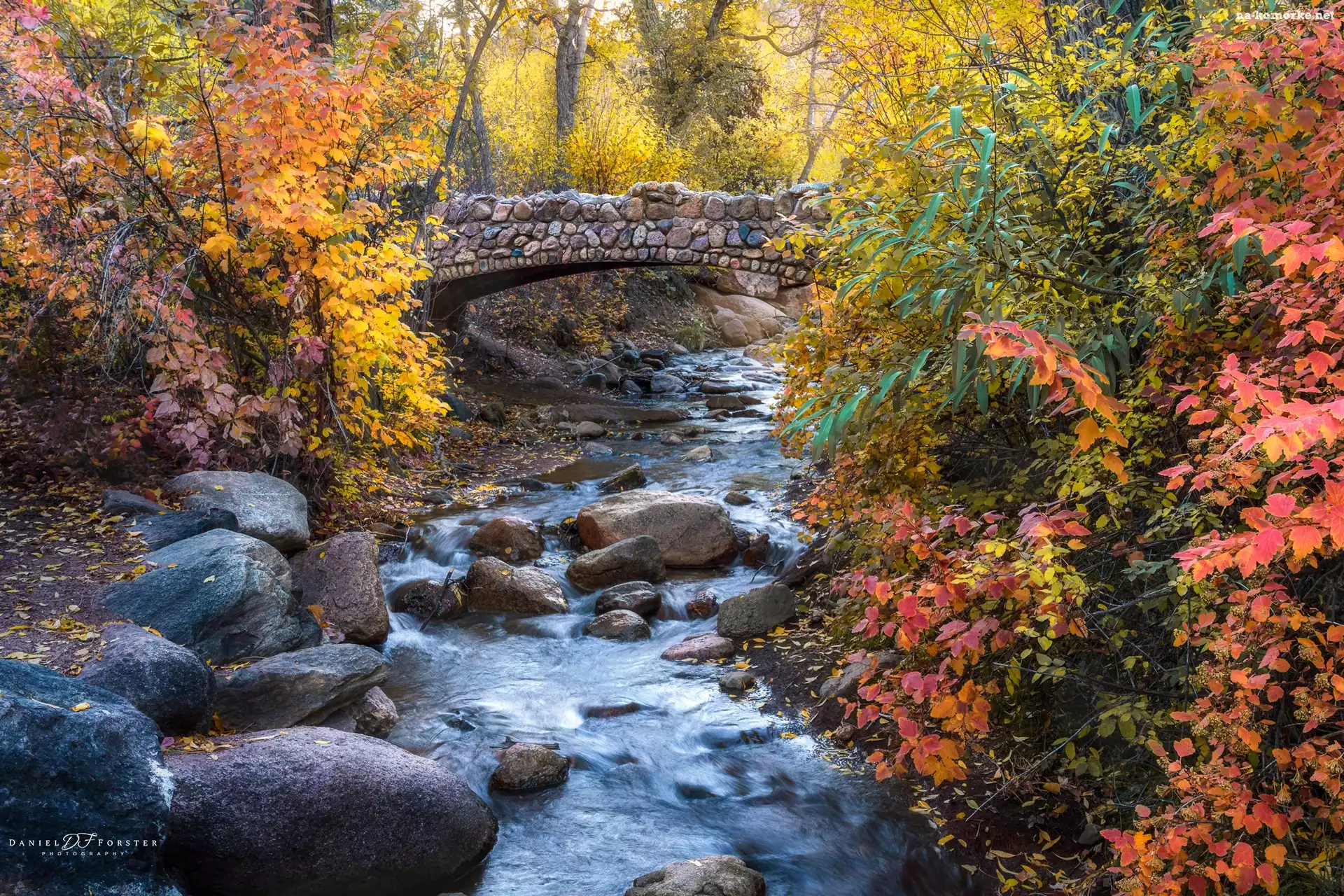 Drzewa, North Cheyenne Creek, Kamienie, Most, Colorado Springs, Potok, Jesień, Kolorowe, Kolorado, Stany Zjednoczone, Krzewy