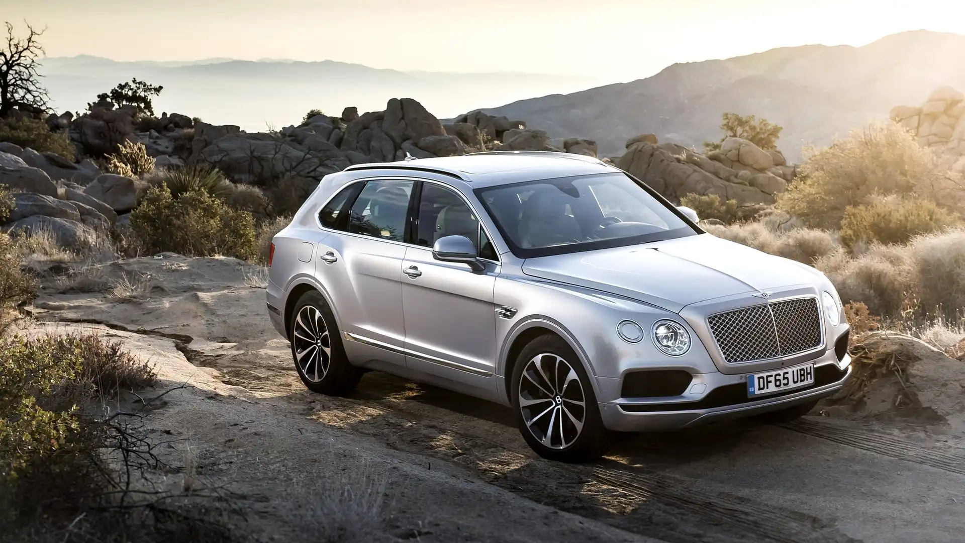 Srebrny, Rośliny, Bentley Bentayga, Skały