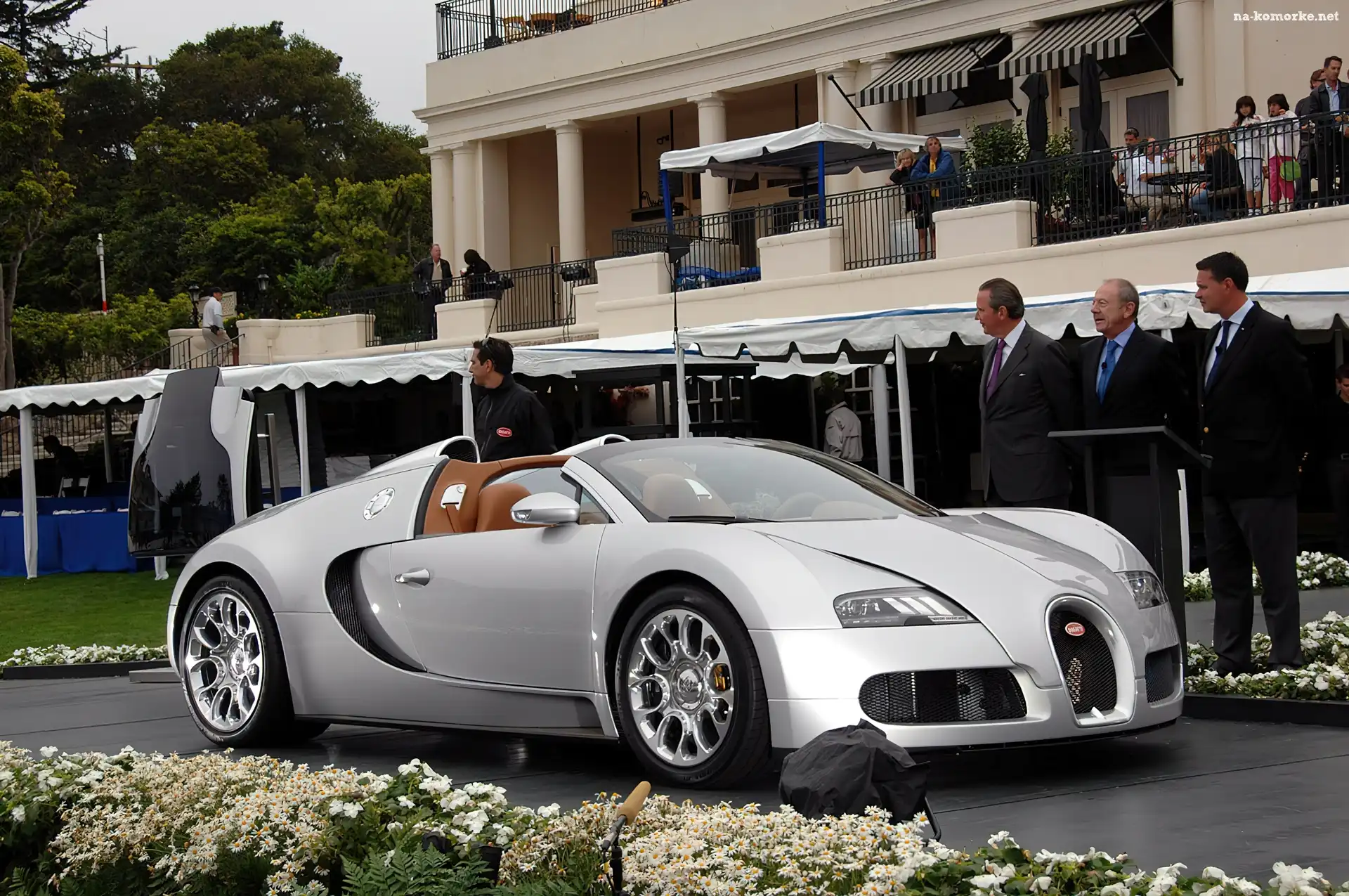 Cabriolet, Wystawa, Srebrny, Veyron