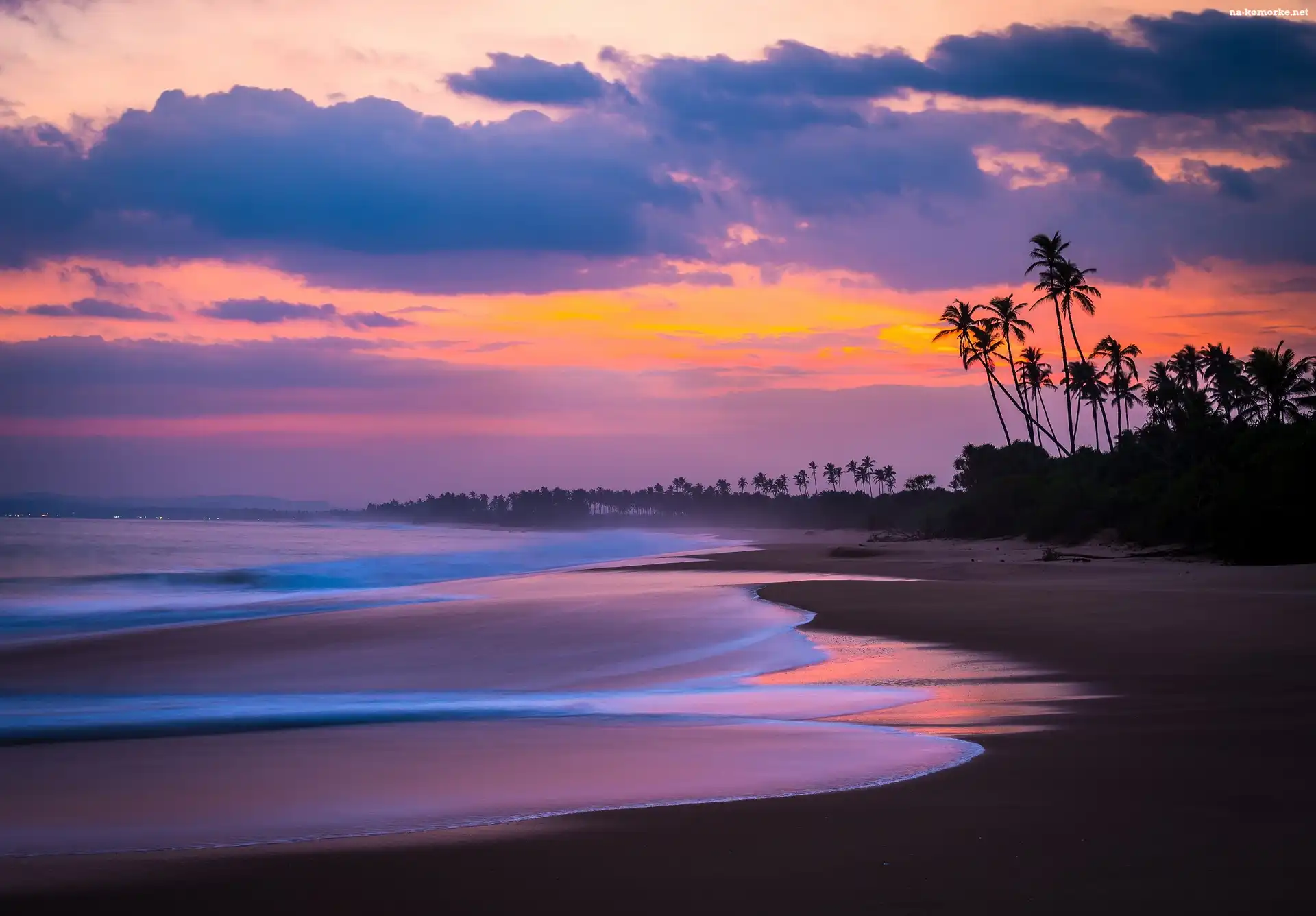 Palmy, Sri Lanka, Plaża, Ocean, Zachód Słońca