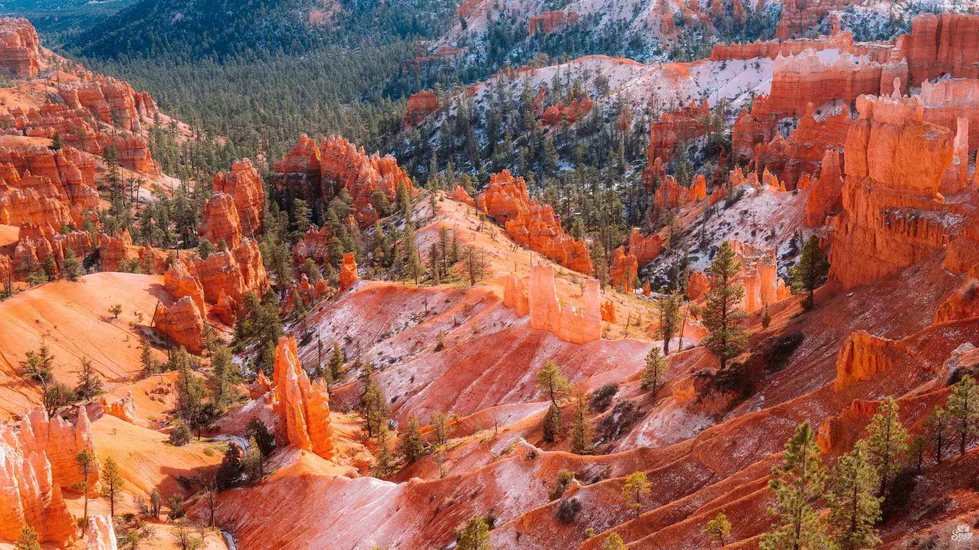 Stan Utah, Stany Zjednoczone, Skały, Park Narodowy Bryce Canyon